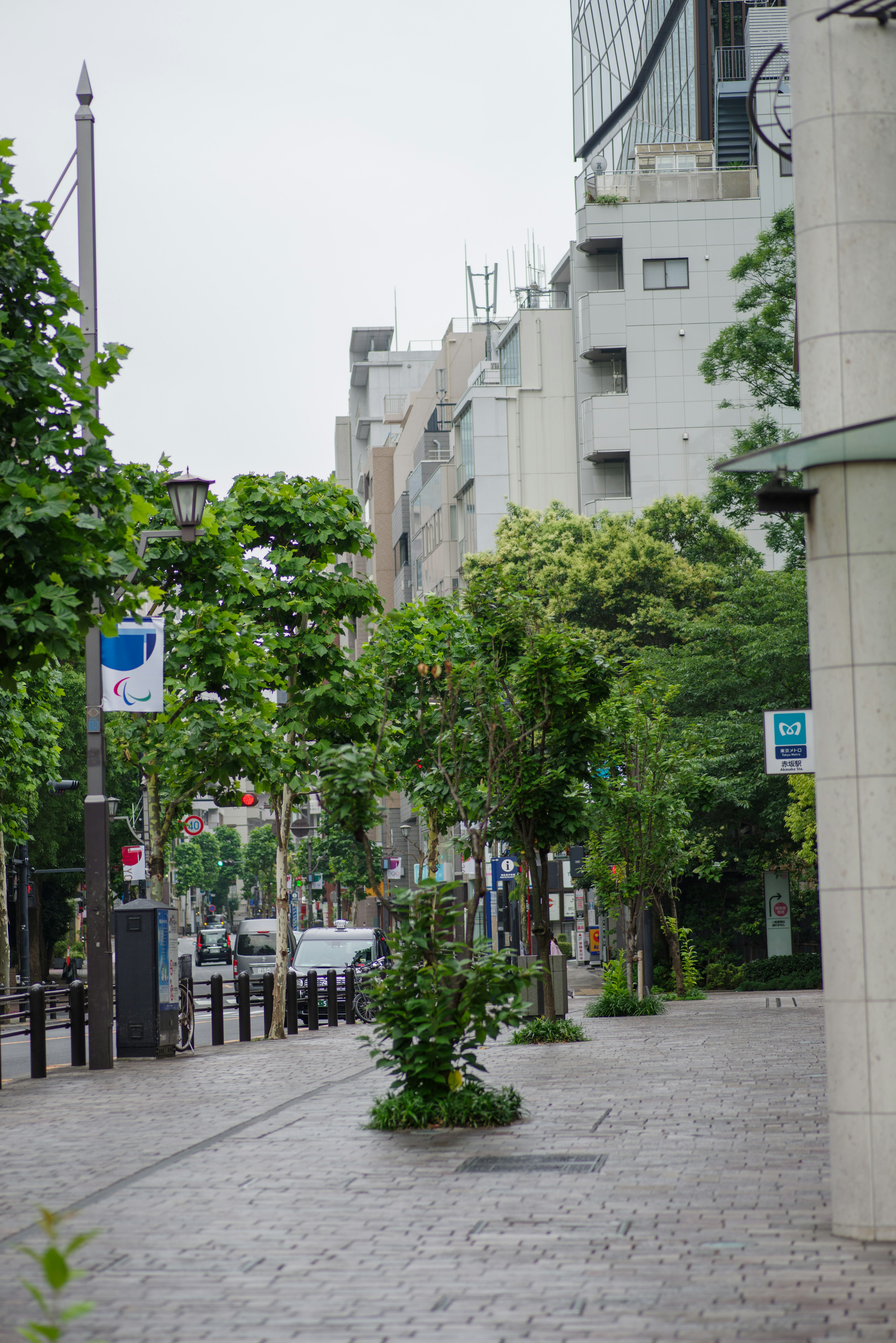 Vue de rue avec des arbres verts et des bâtiments urbains