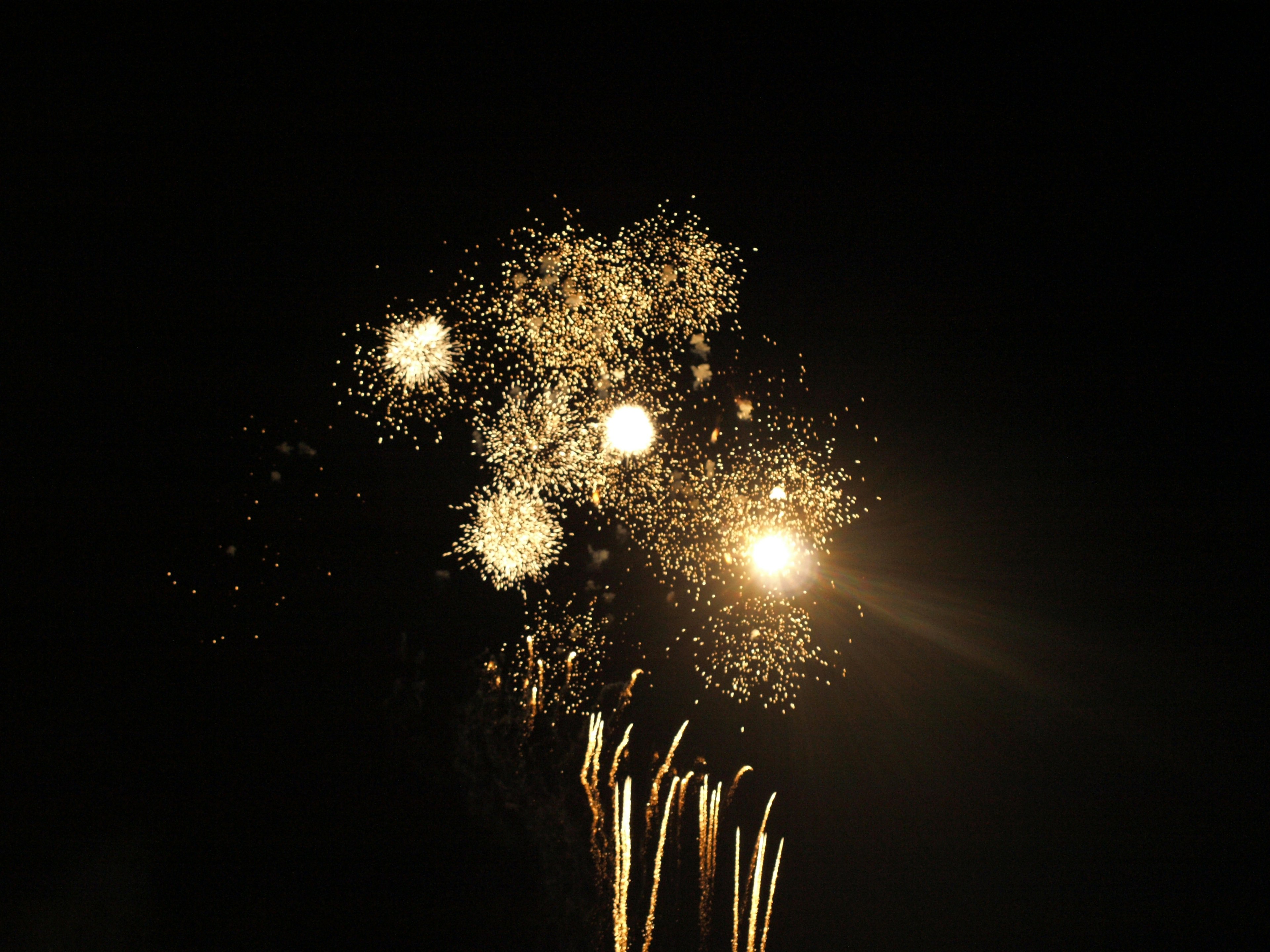 Magnifique feu d'artifice sur fond de ciel nocturne