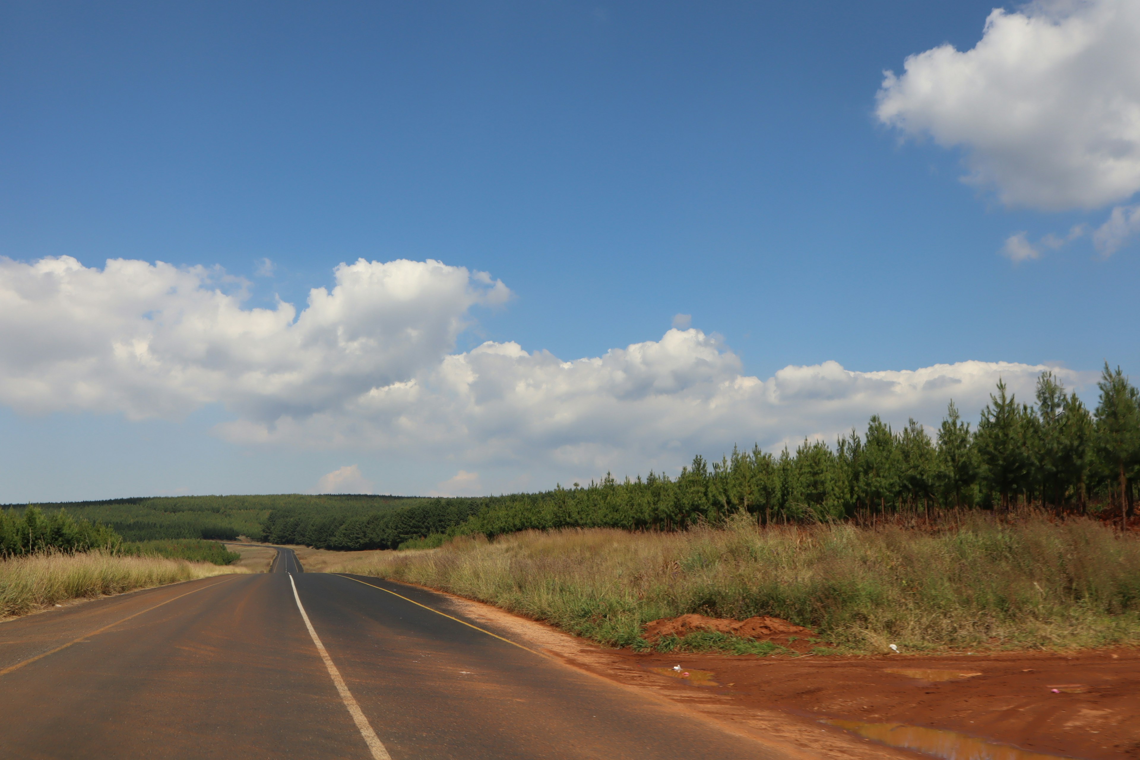 Eine Straße zieht sich durch eine Landschaft mit grünen Bäumen unter einem blauen Himmel und weißen Wolken