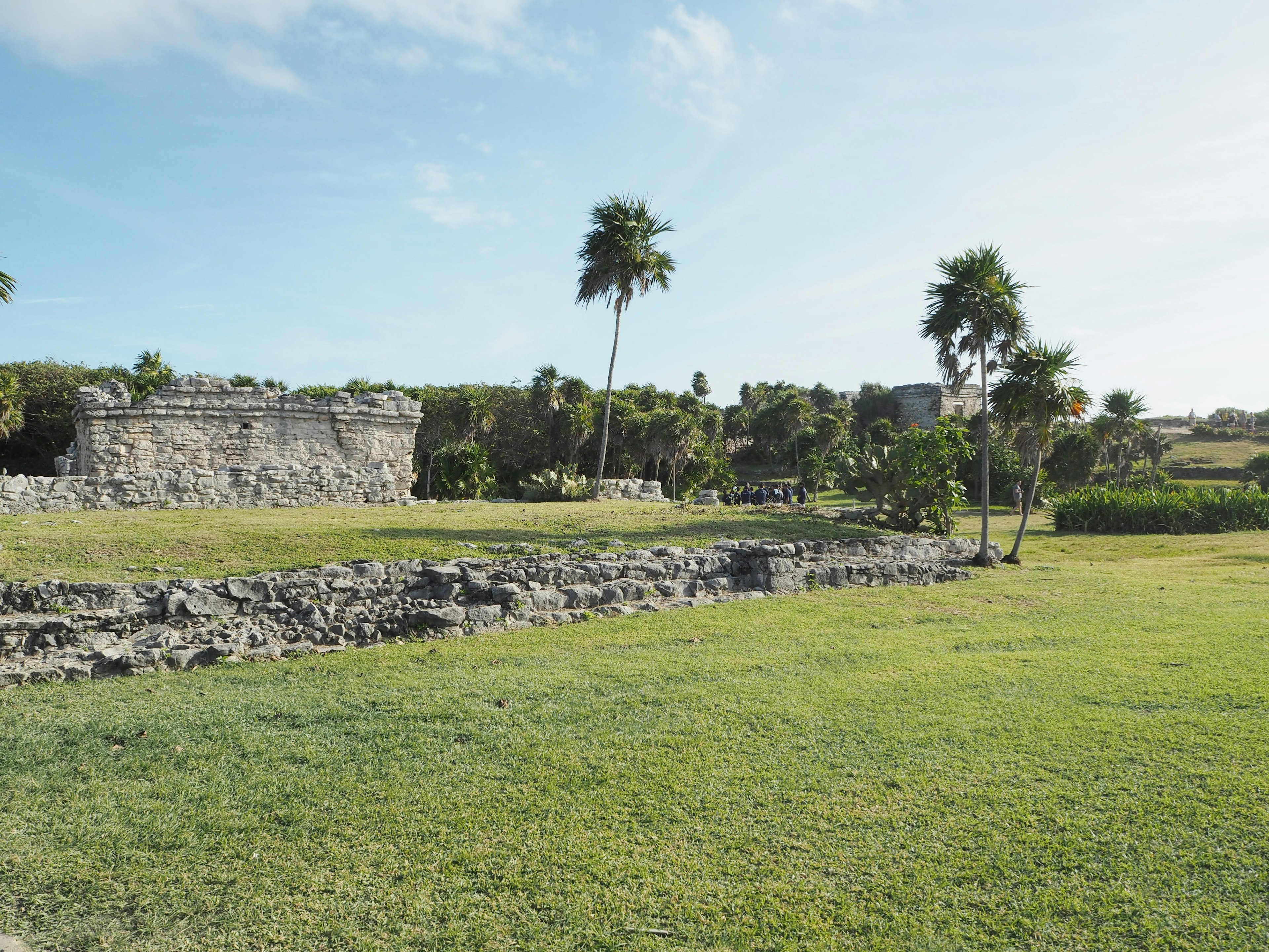 Vista escénica de ruinas antiguas con palmeras y césped verde