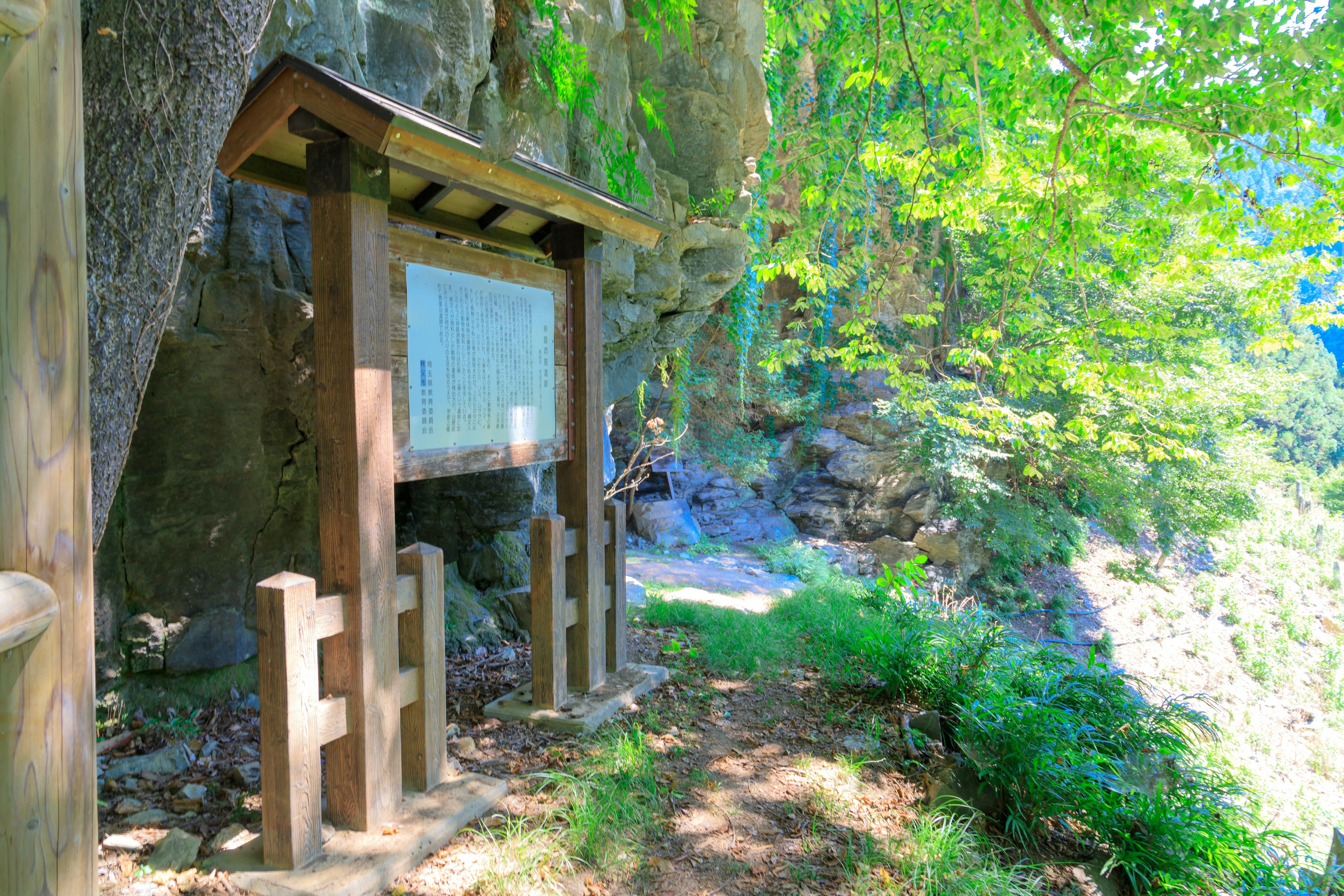 A wooden information board surrounded by lush greenery and a pathway