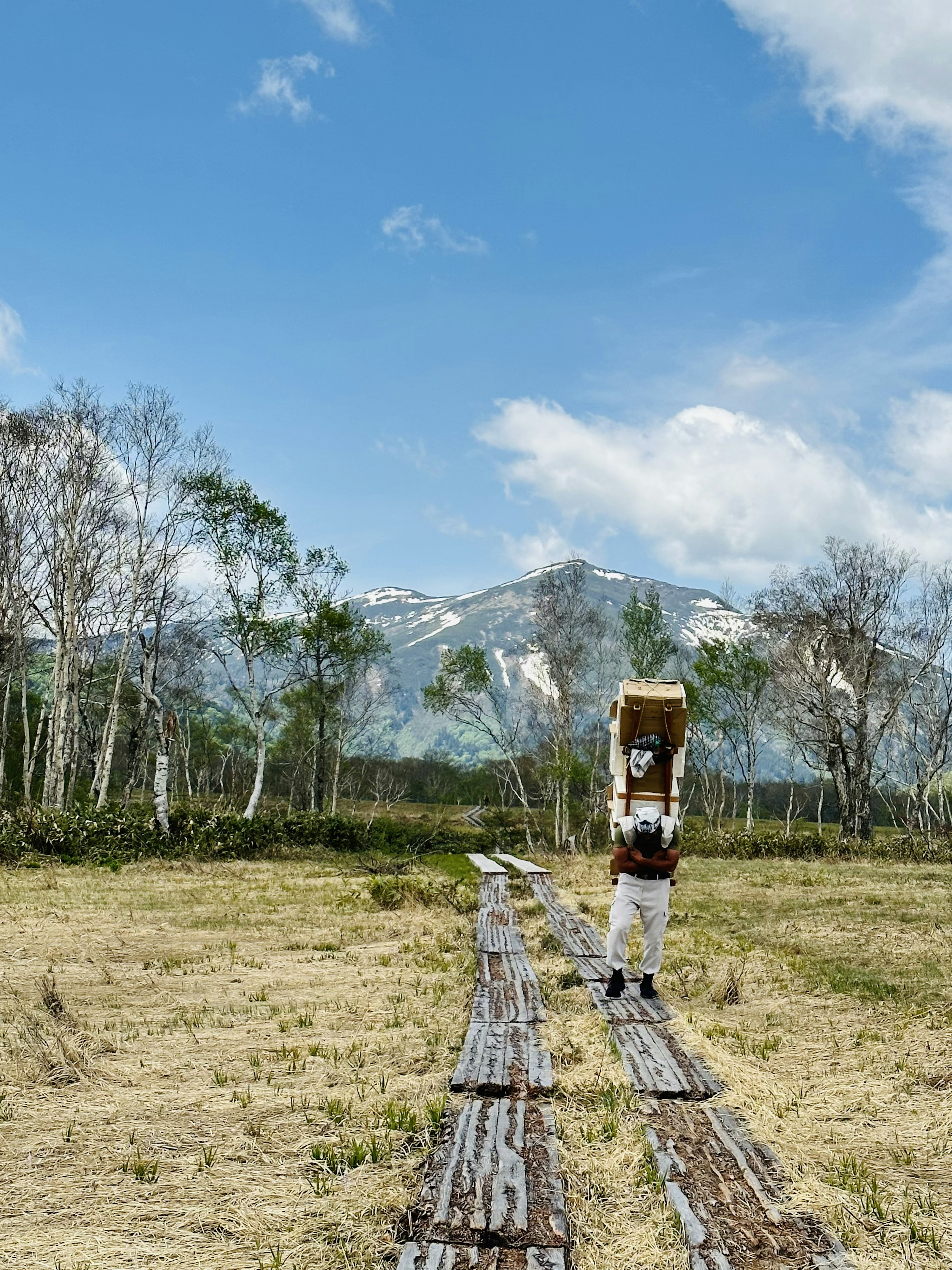 山と木々の間を歩く人物が木の板を運ぶ風景