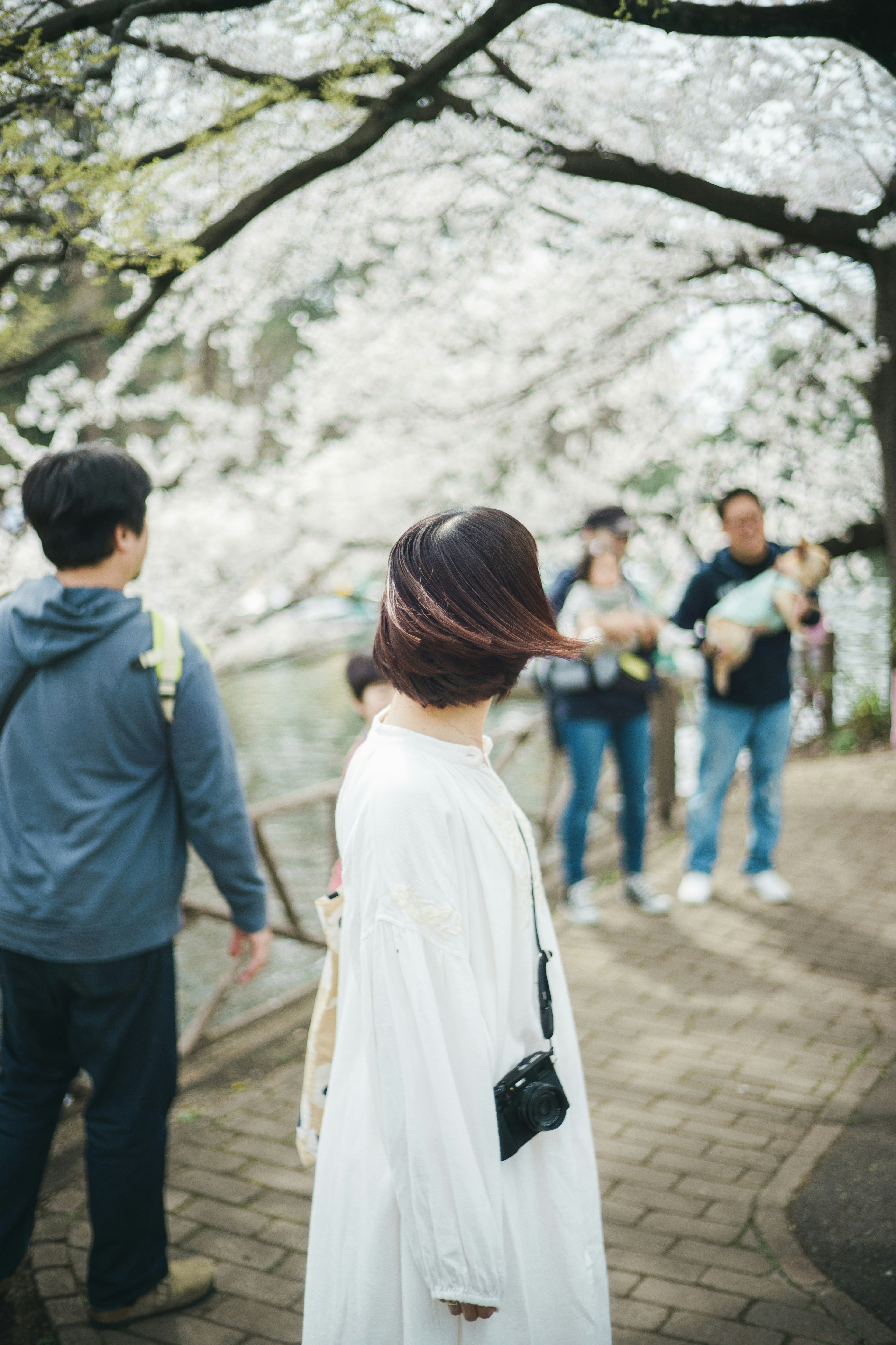 桜の木の下で白いドレスを着た女性が振り返り、後ろに他の人々がいる風景