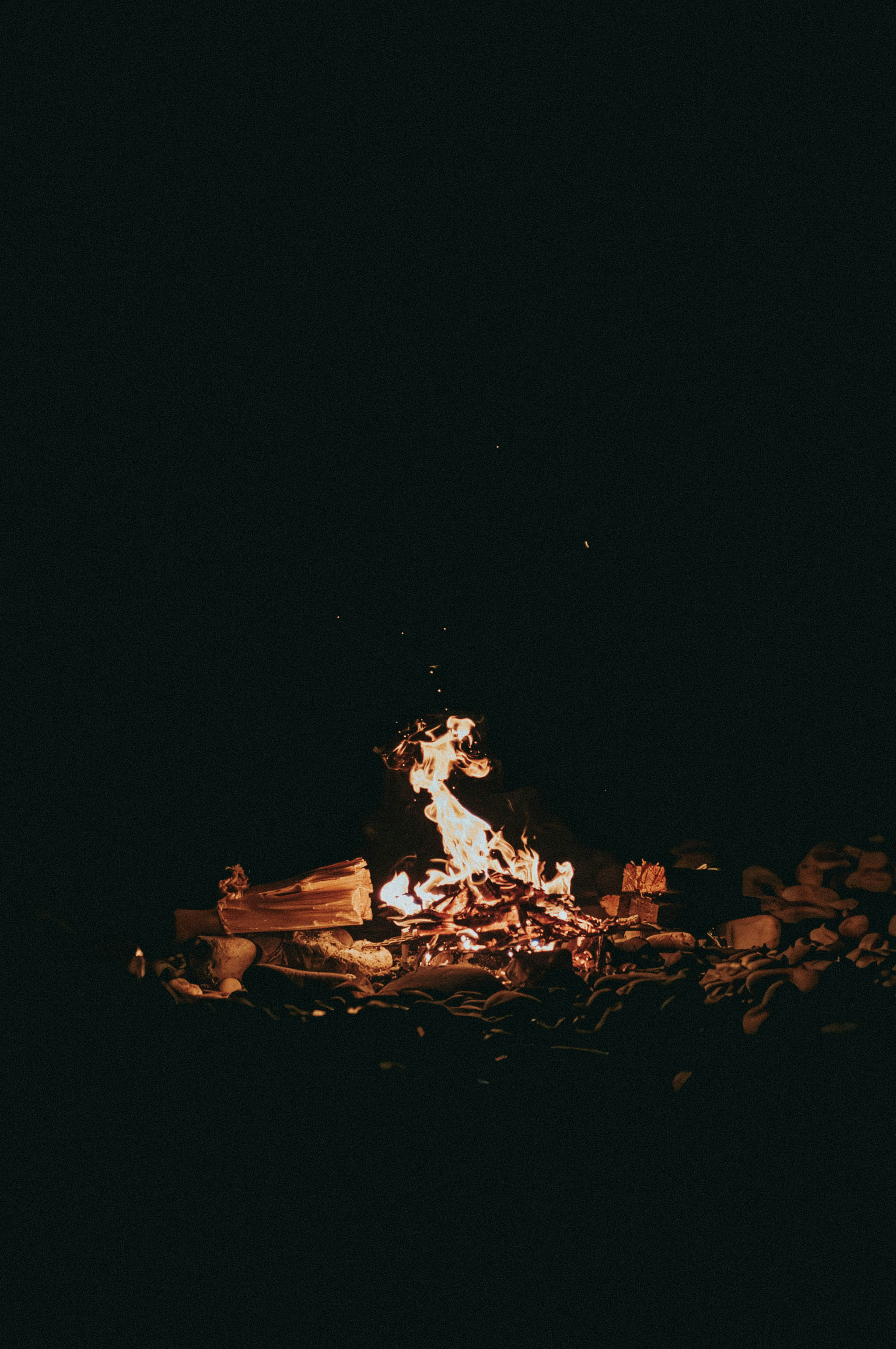 Flammes de feu de camp brillantes dans la nuit noire