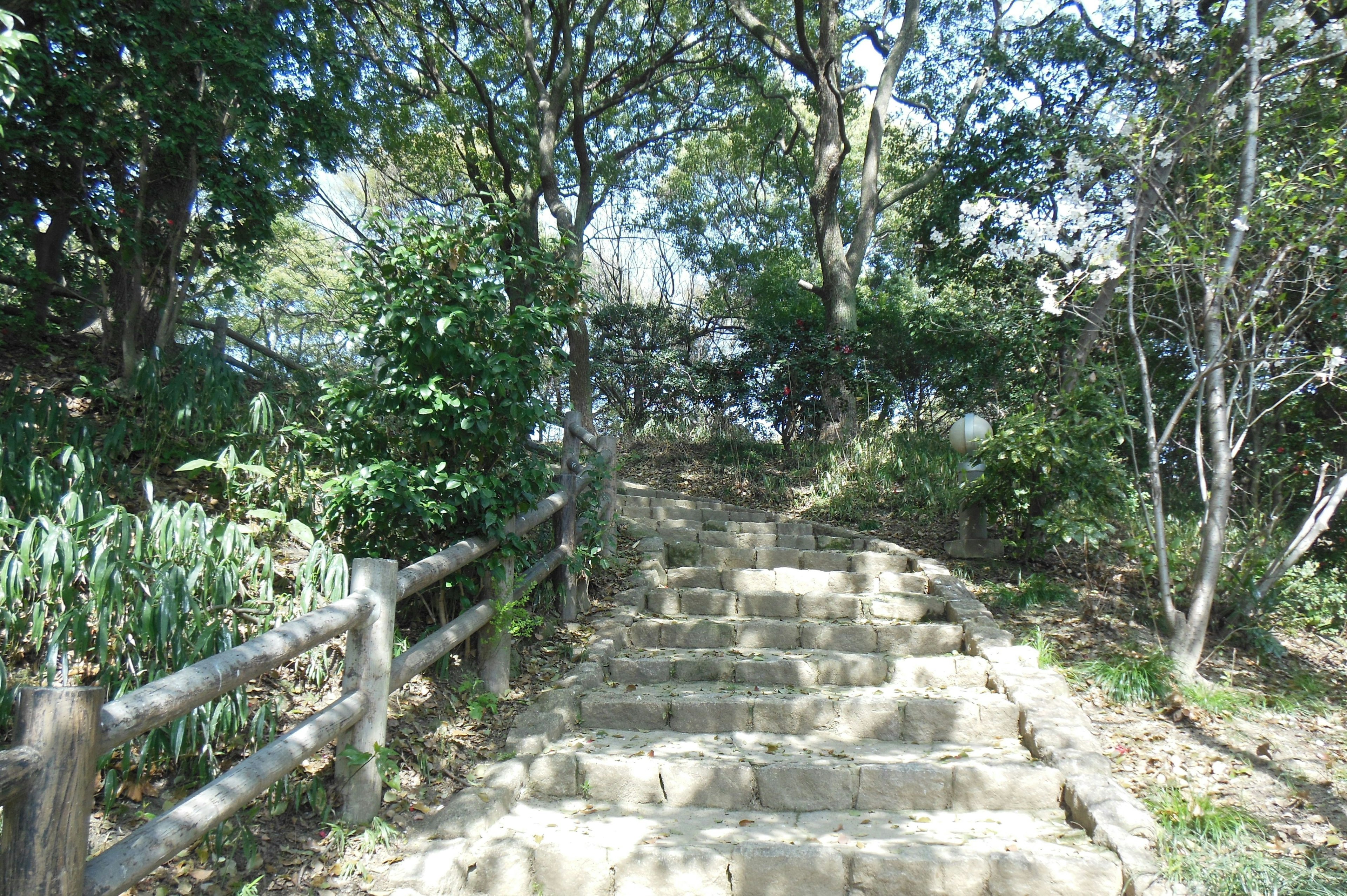 Stone steps leading up through a lush green landscape with trees