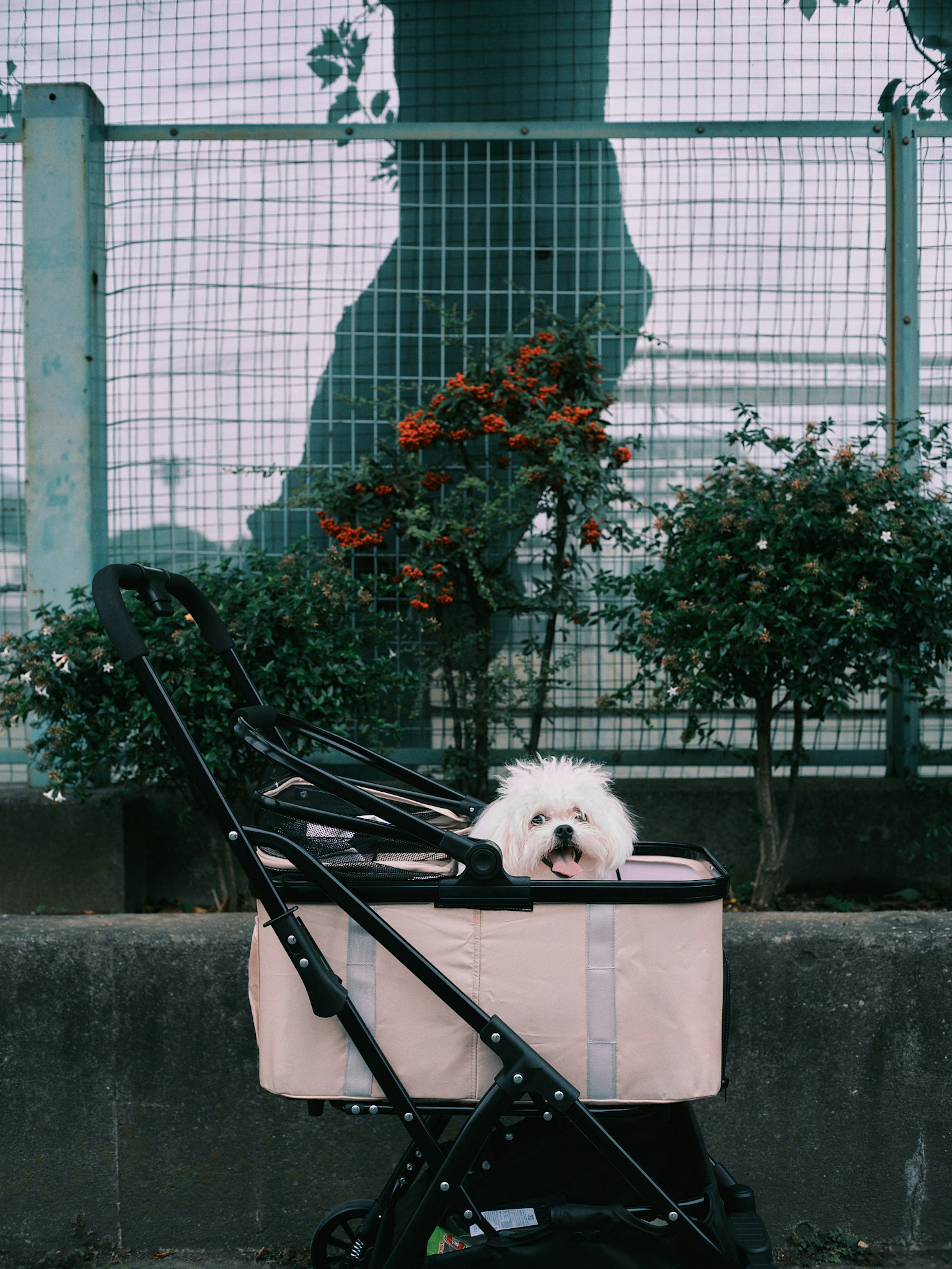 A small dog sitting in a pink stroller near bushes