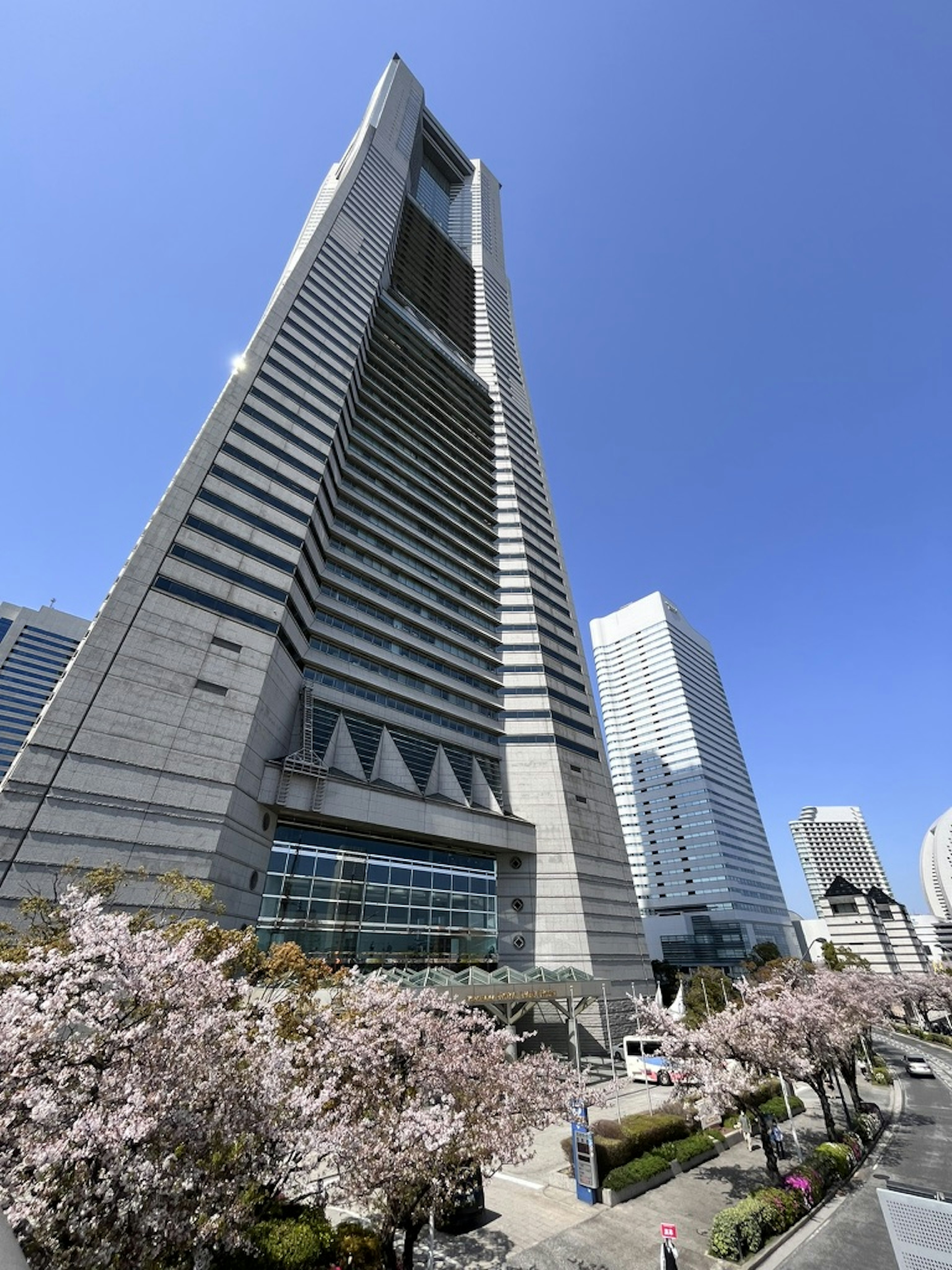 Gedung pencakar langit modern dengan pohon sakura di latar depan