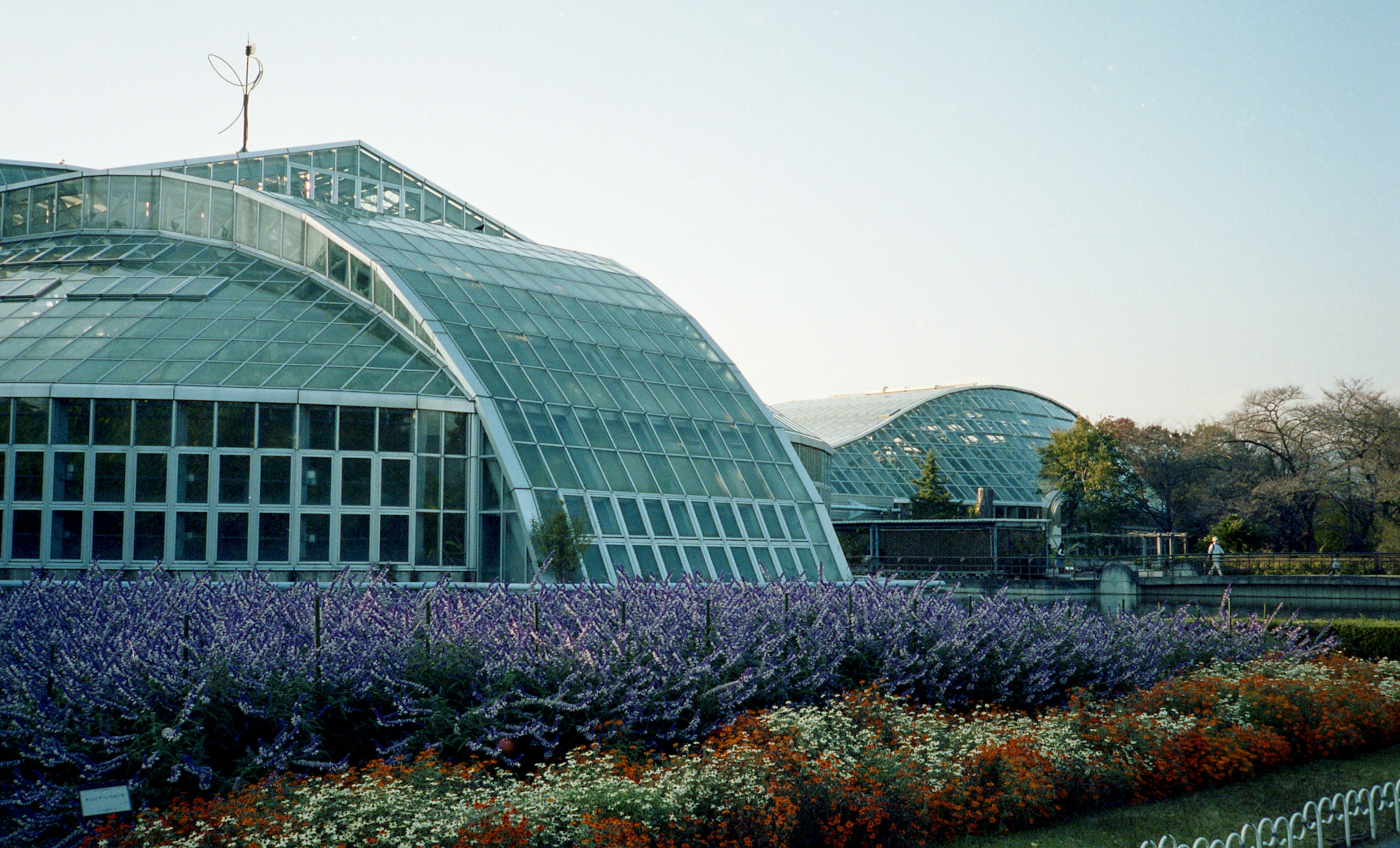 ガラスの温室と色とりどりの花々がある庭の風景