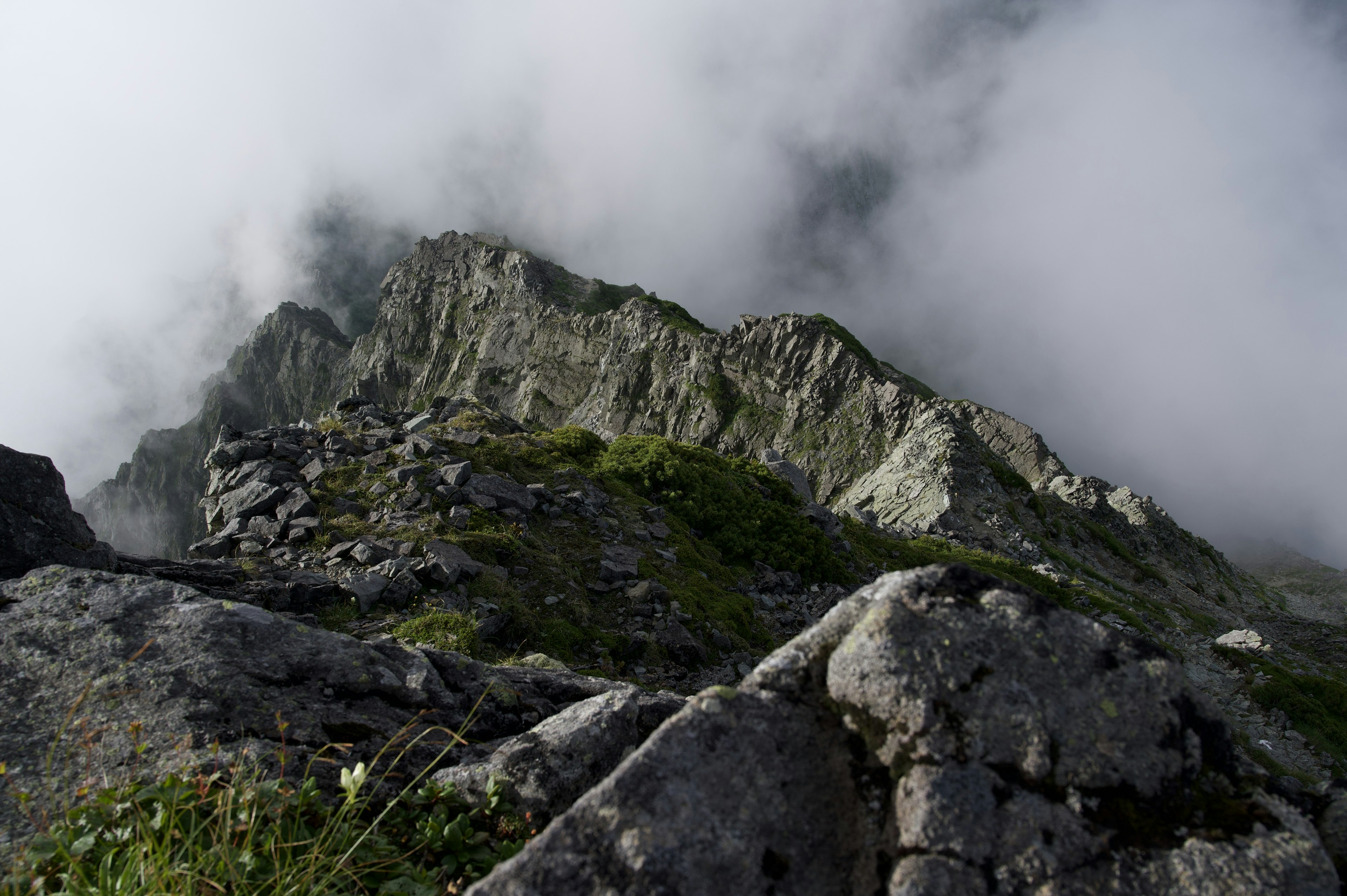 Paisaje montañoso envuelto en niebla con detalles rocosos