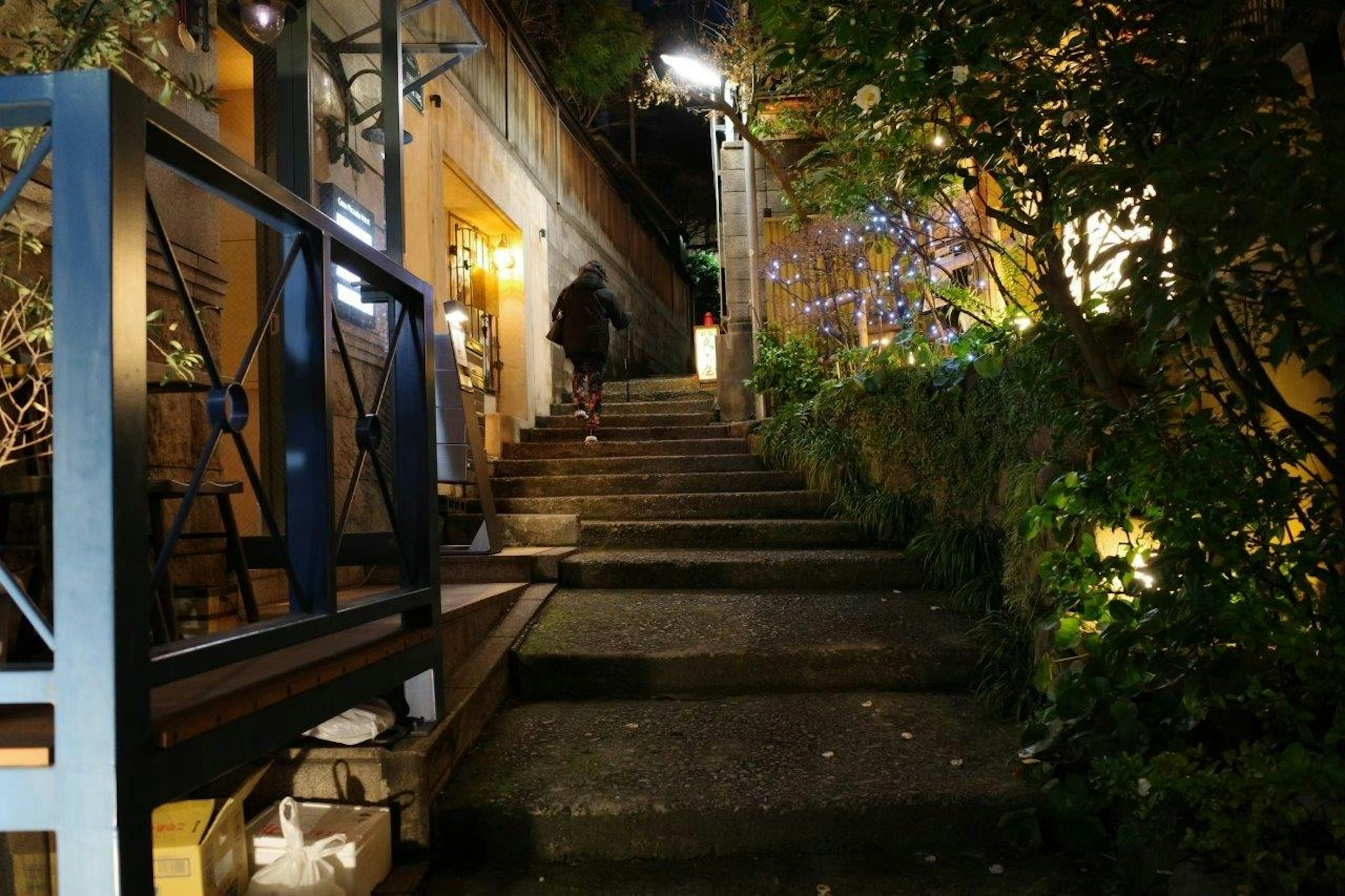 Vue nocturne d'un escalier entouré de verdure et d'éclairage doux