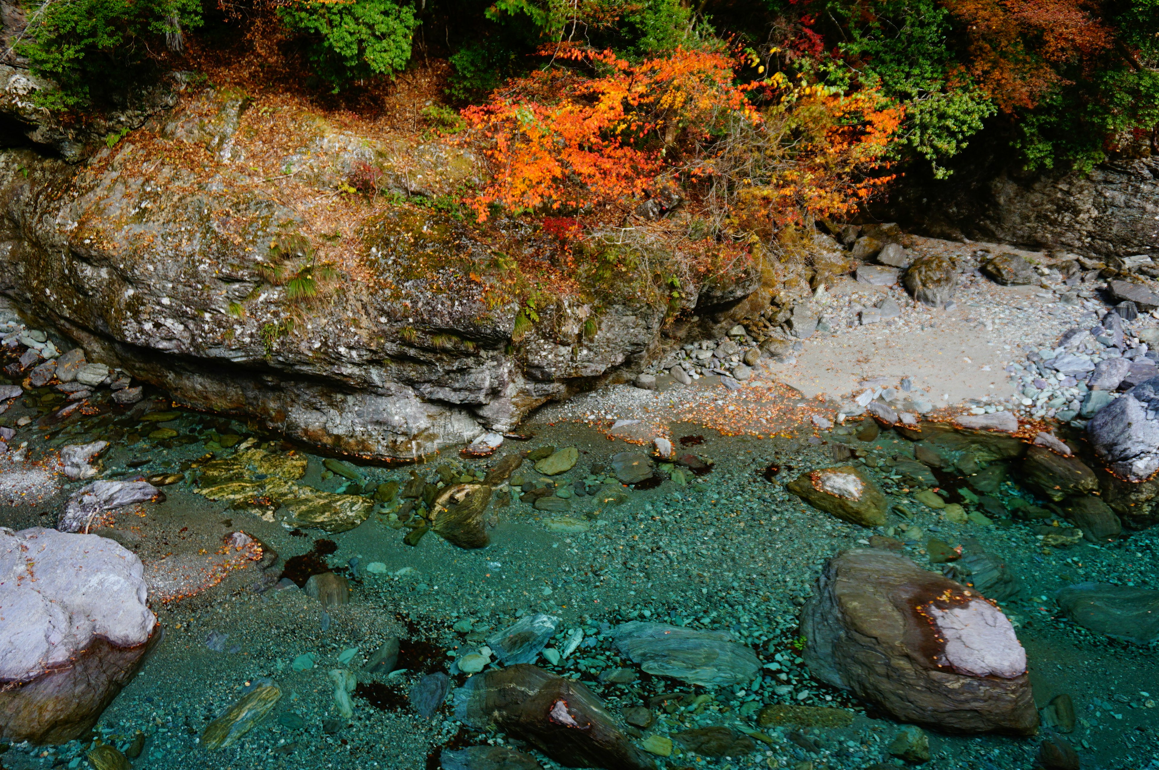 Vista panoramica di un torrente limpido con foglie autunnali colorate