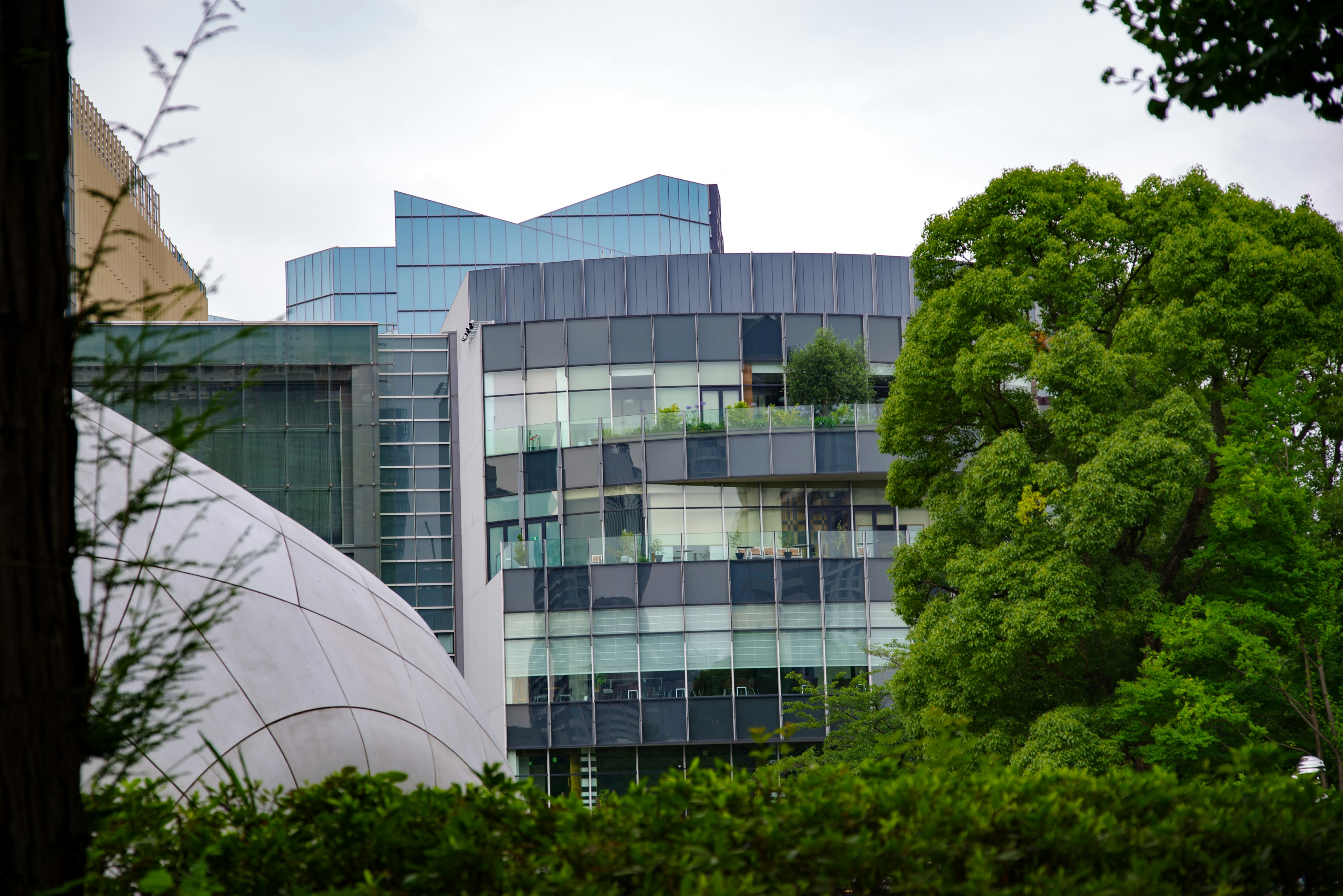 現代的な建物と緑豊かな木々の風景