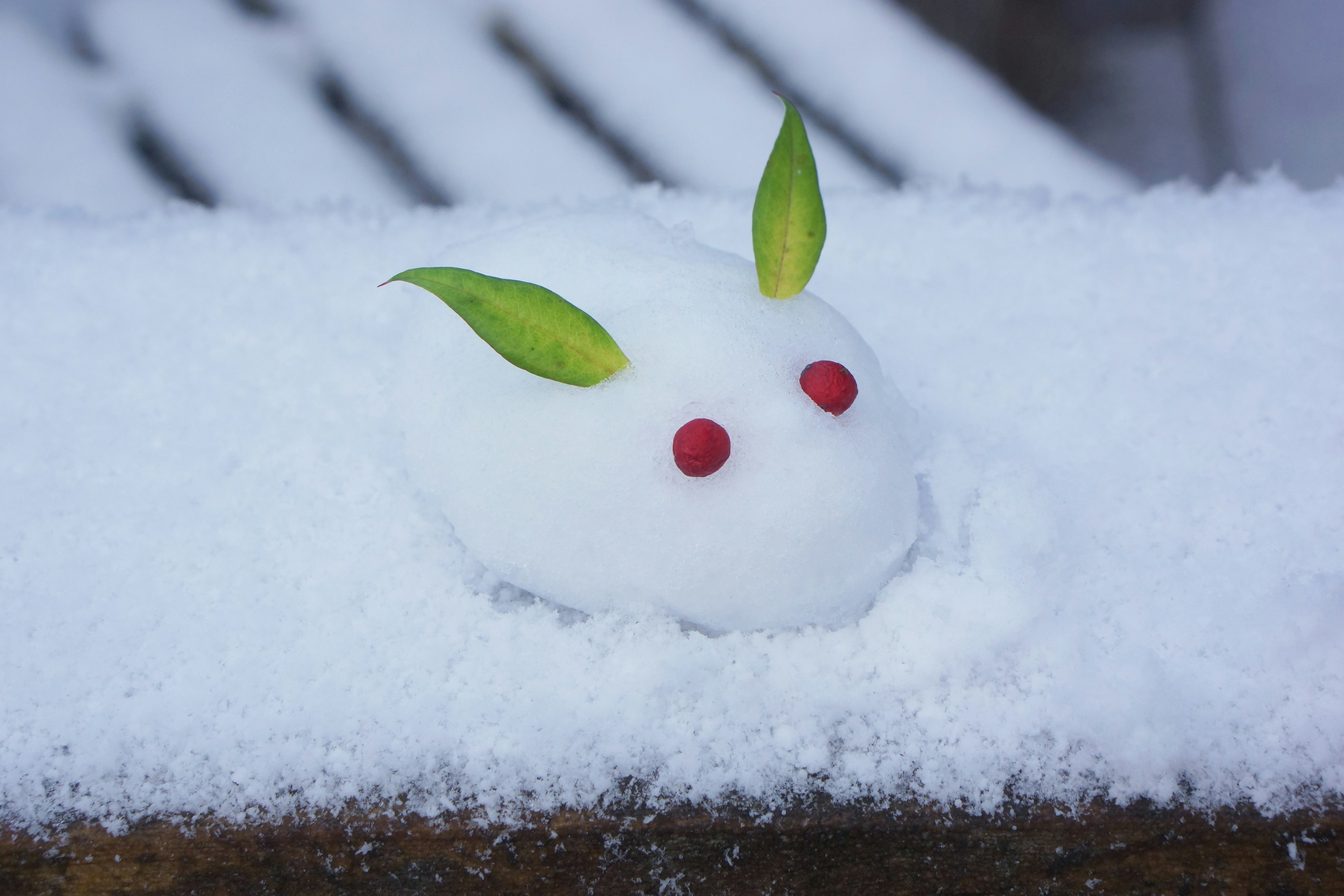 Eine Schneehase-Figur auf Schnee mit grünen Blättern und roten Beeren als Dekoration