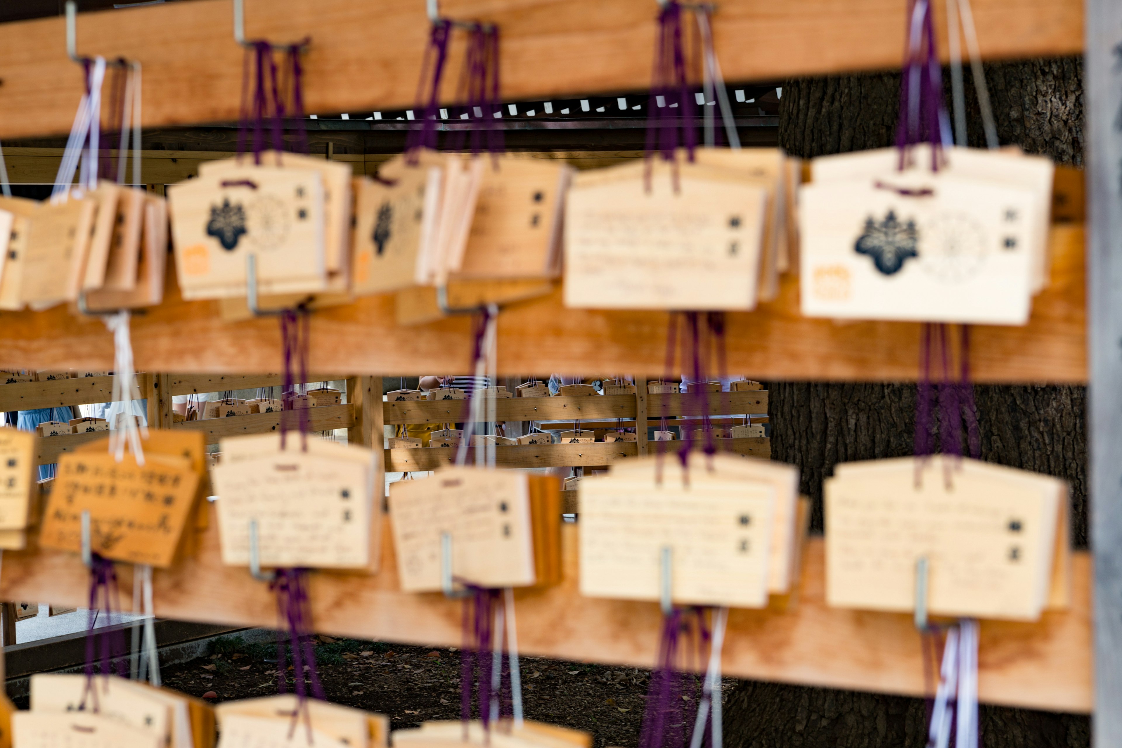 Wooden ema plaques hanging on a wall