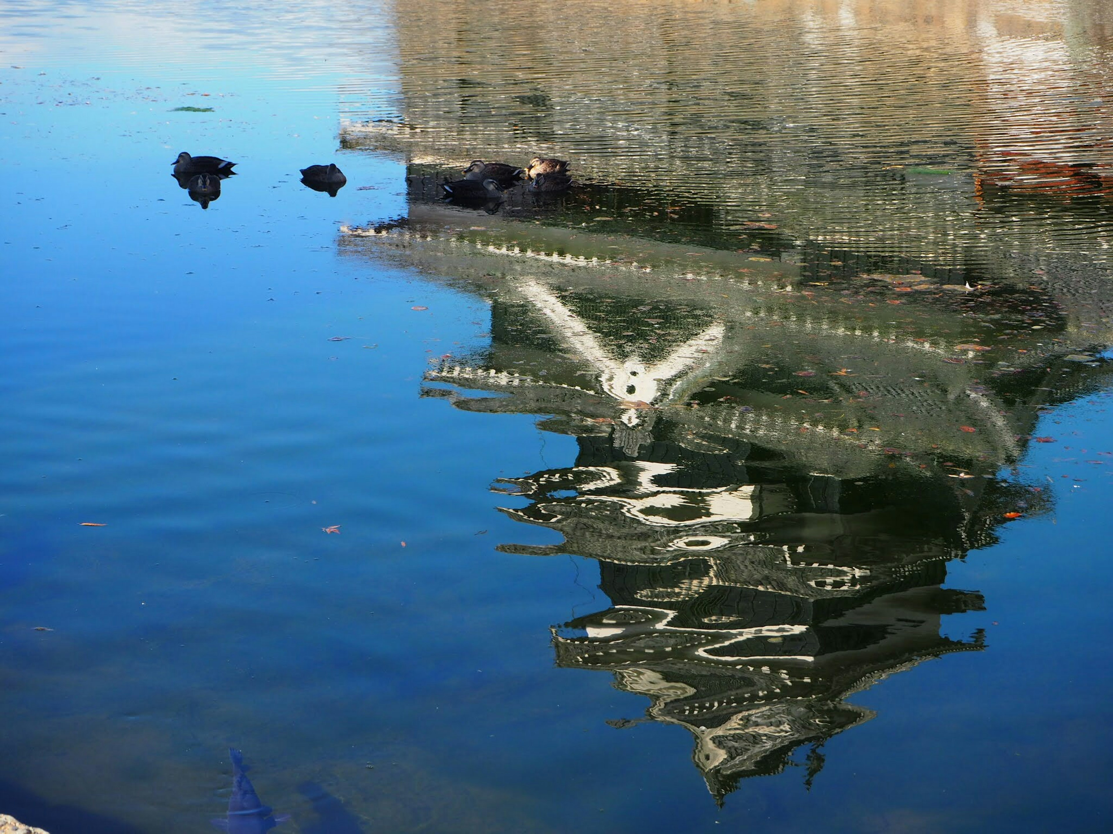 Reflejo de un edificio en el agua con objetos circundantes