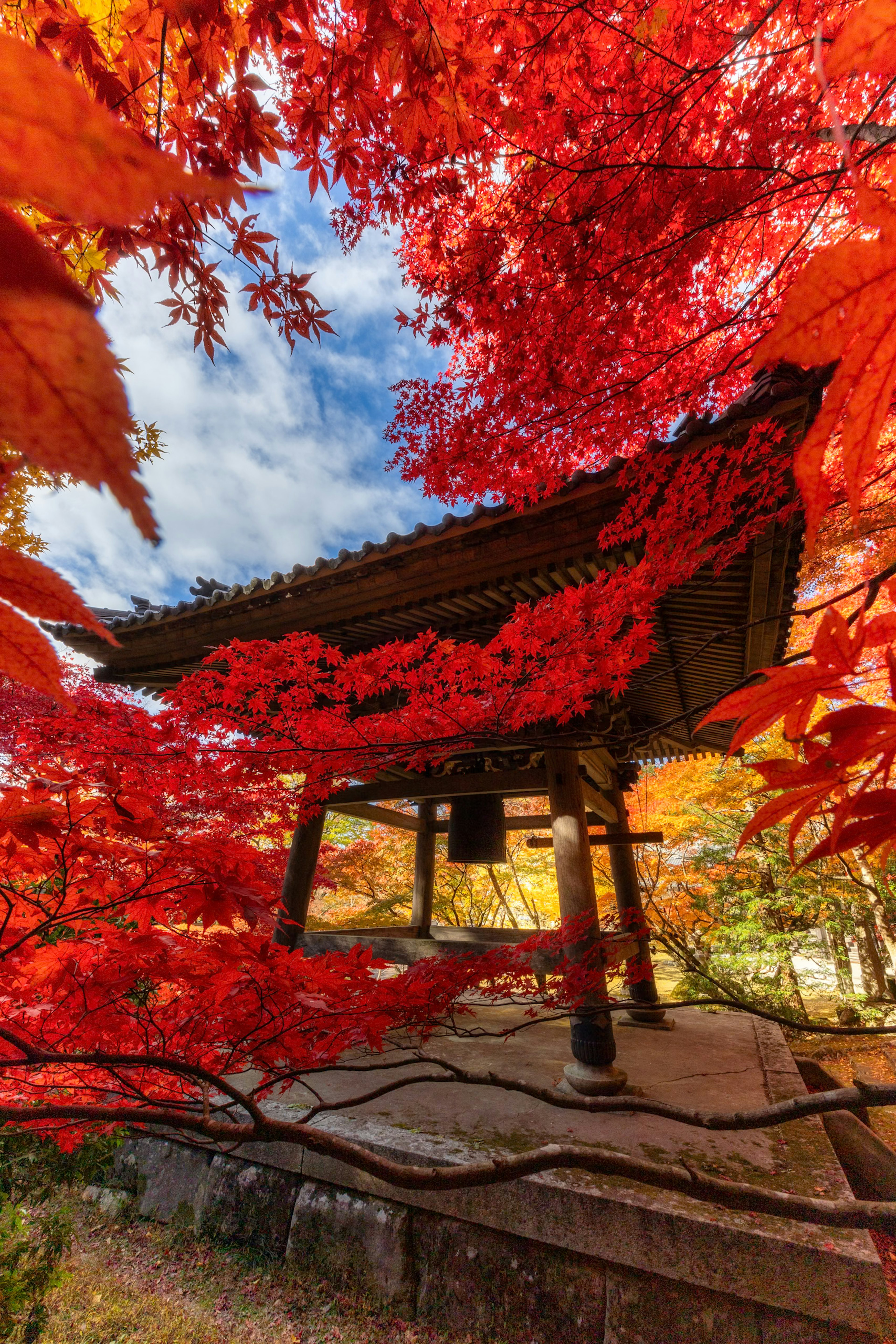 Belle vue d'une cloche entourée de feuilles d'automne