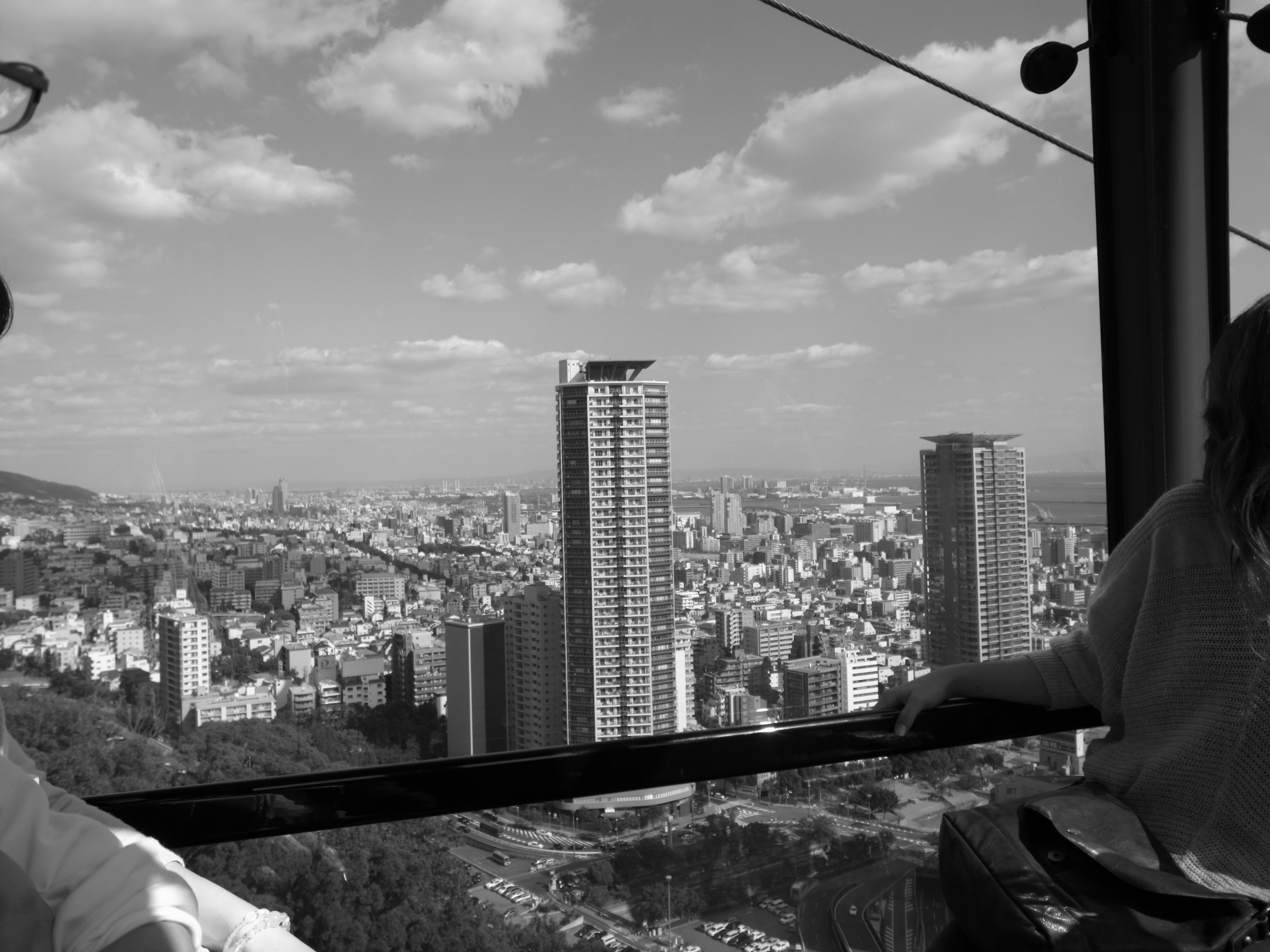 Paisaje urbano en blanco y negro con rascacielos y vista panorámica