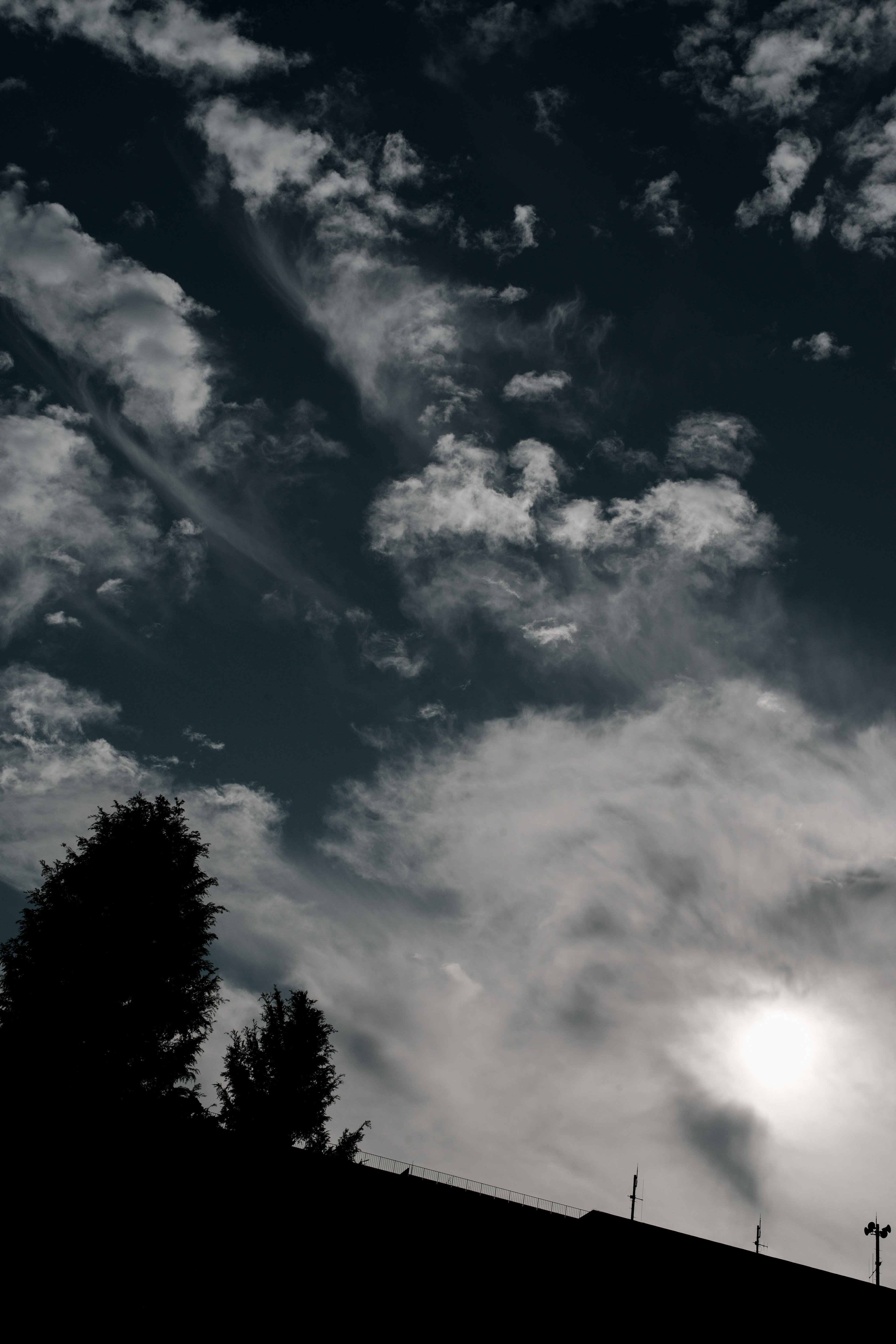 Ciel sombre avec des nuages et des arbres en silhouette