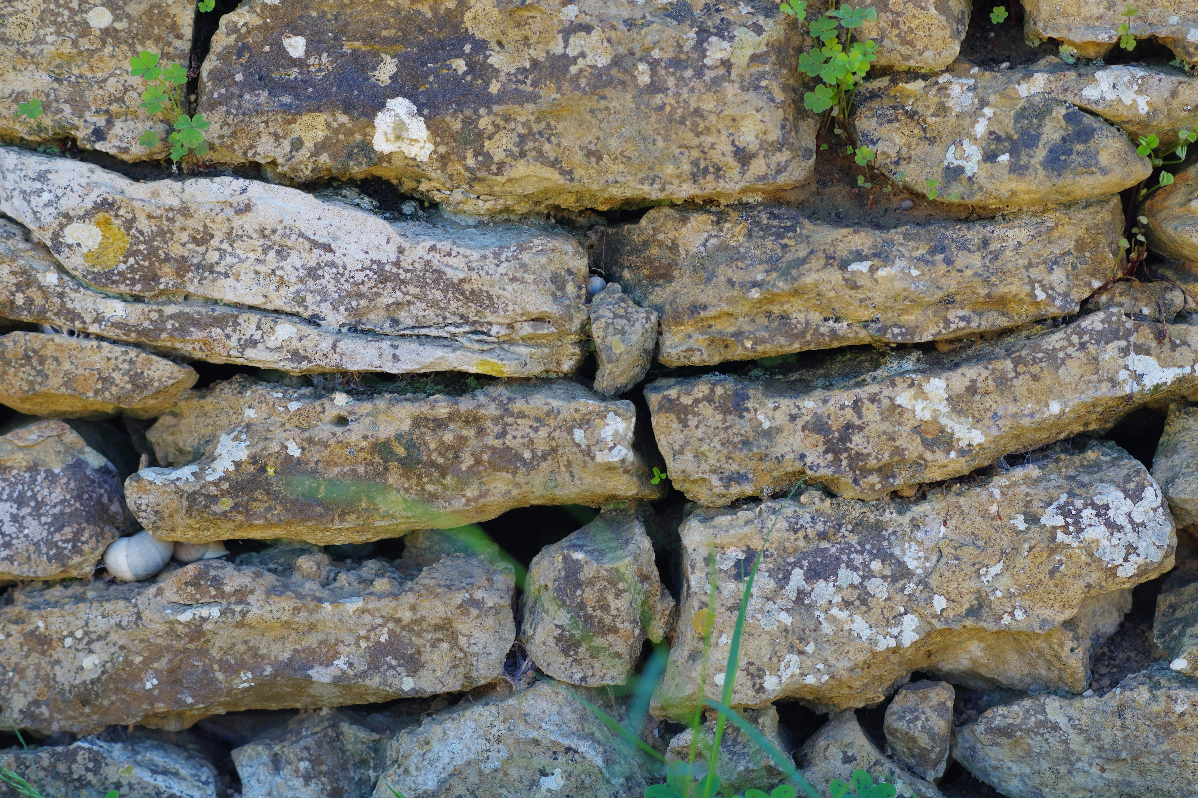 Close-up of an old stone wall featuring irregularly stacked stones in various shapes