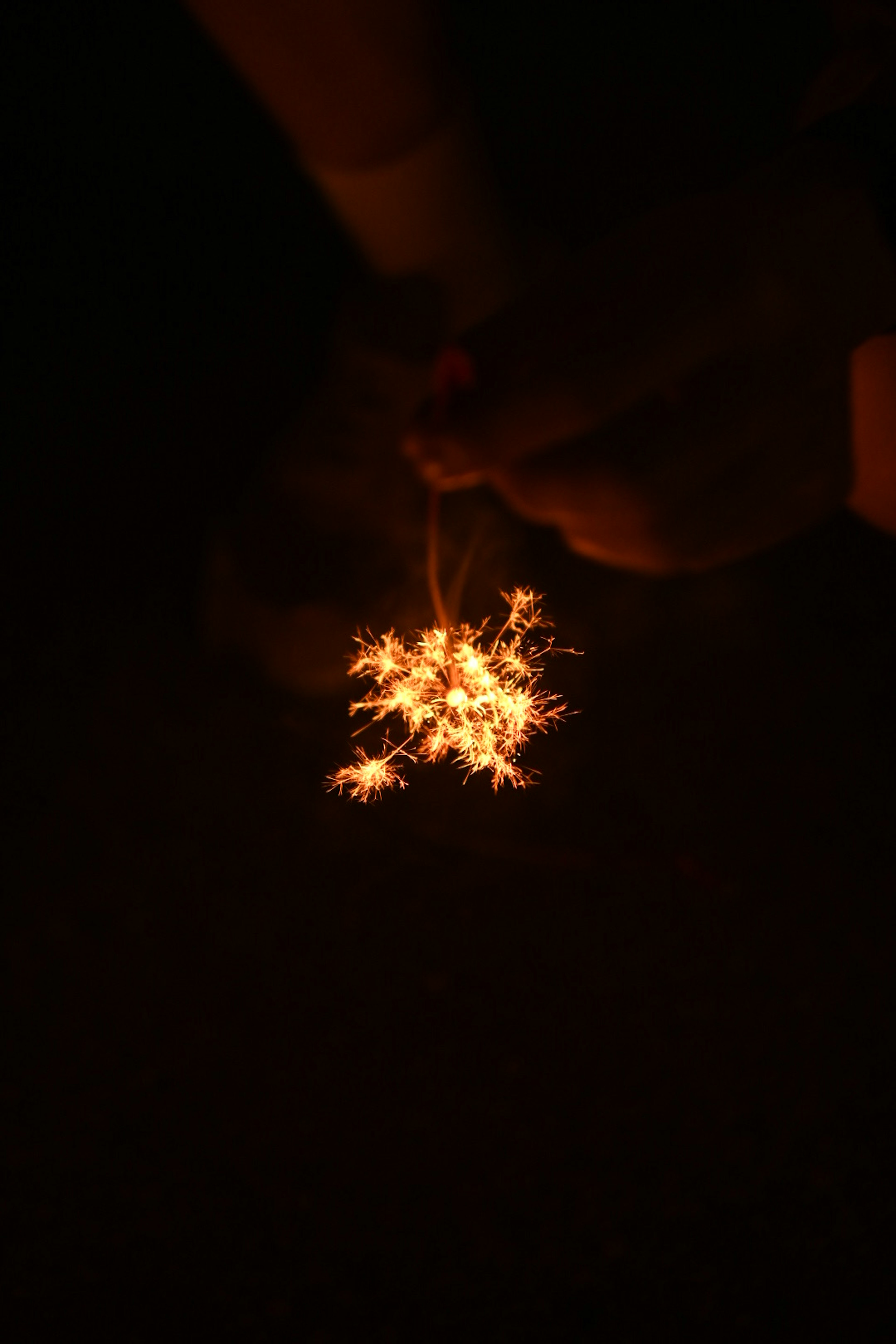 Hand holding a sparkler against a dark background