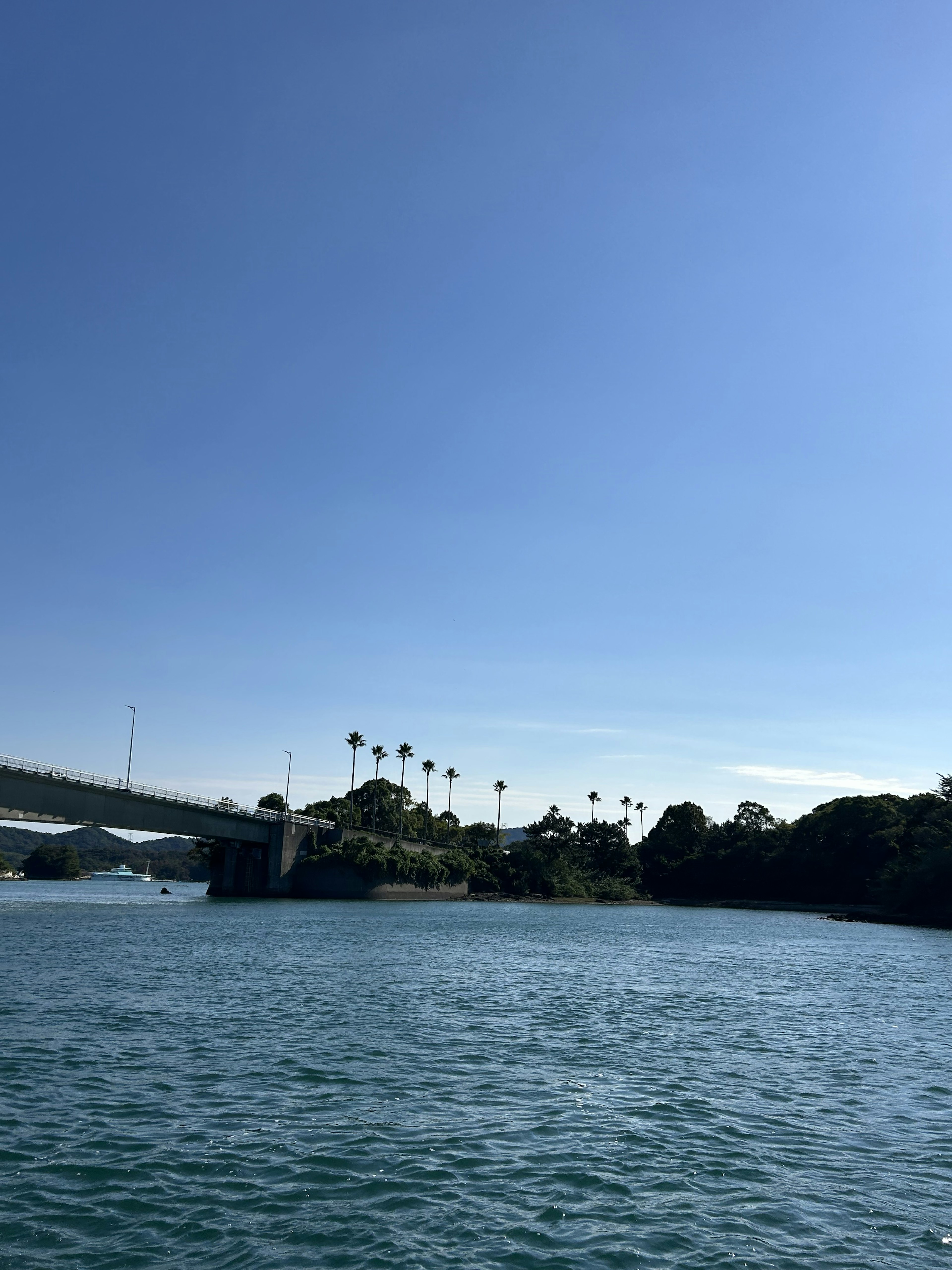 Bridge over water with palm trees and clear blue sky