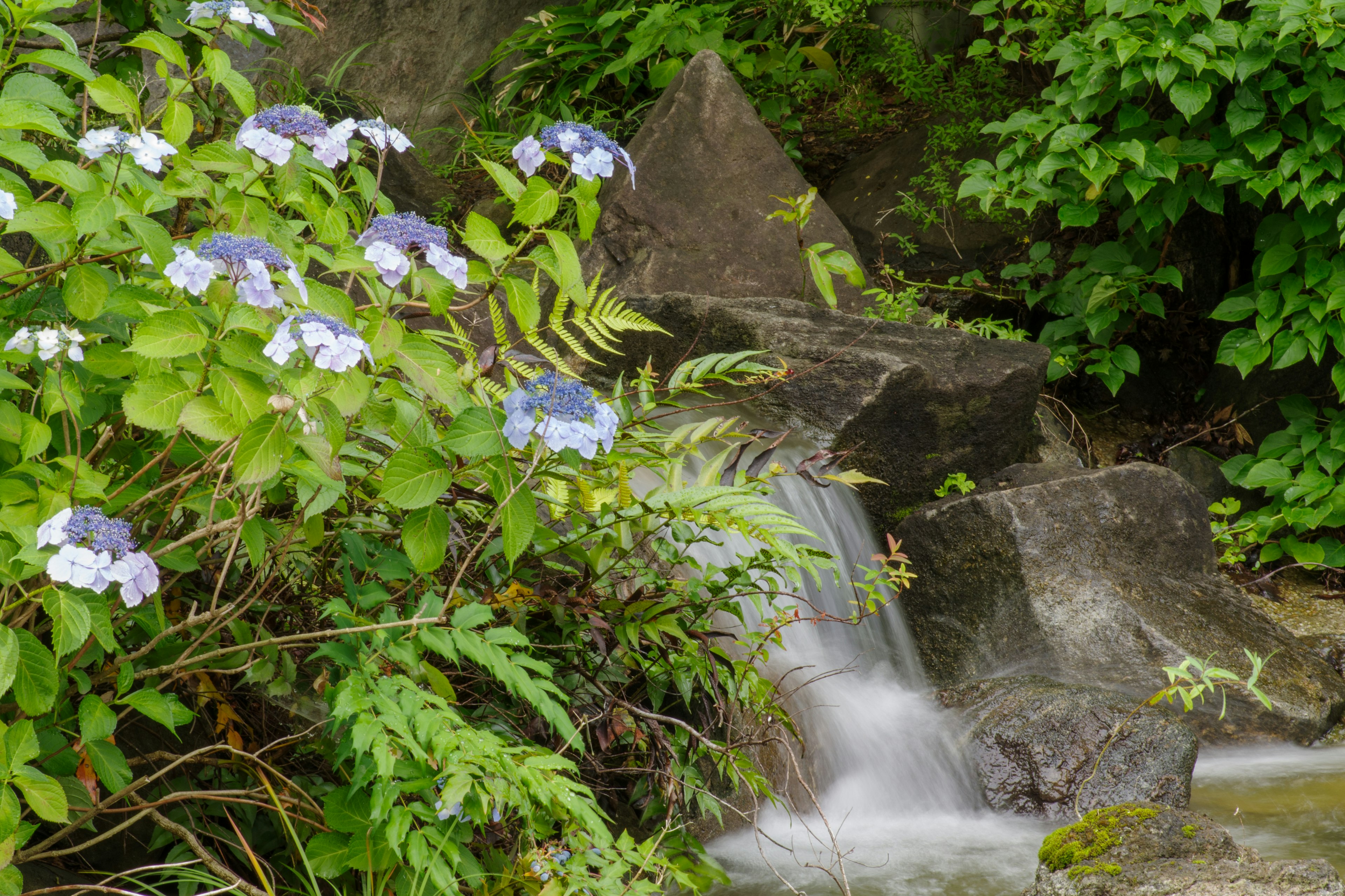 Naturszene mit blauen Blumen und einem fließenden Bach