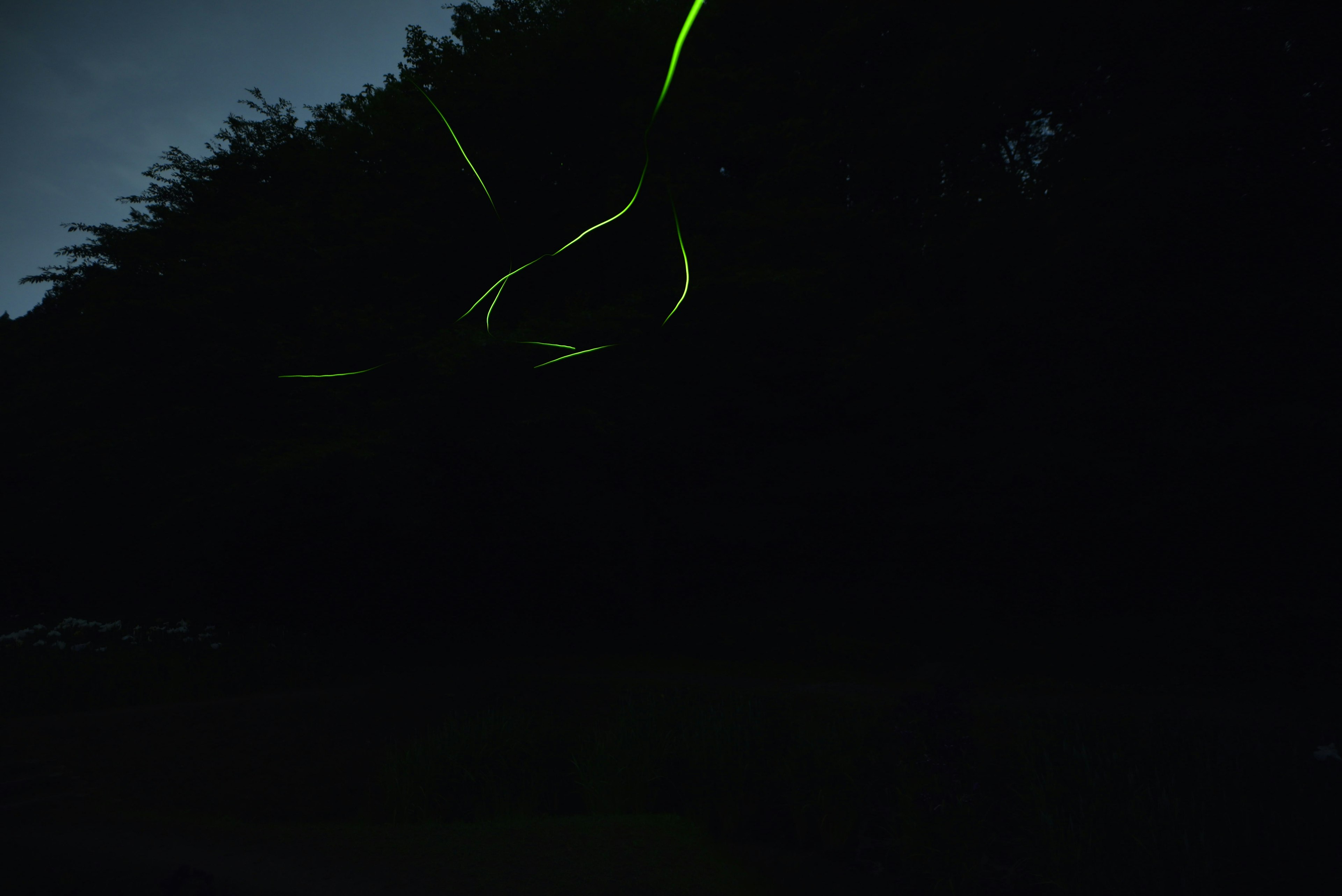 Trails de lumière verte sur un fond sombre