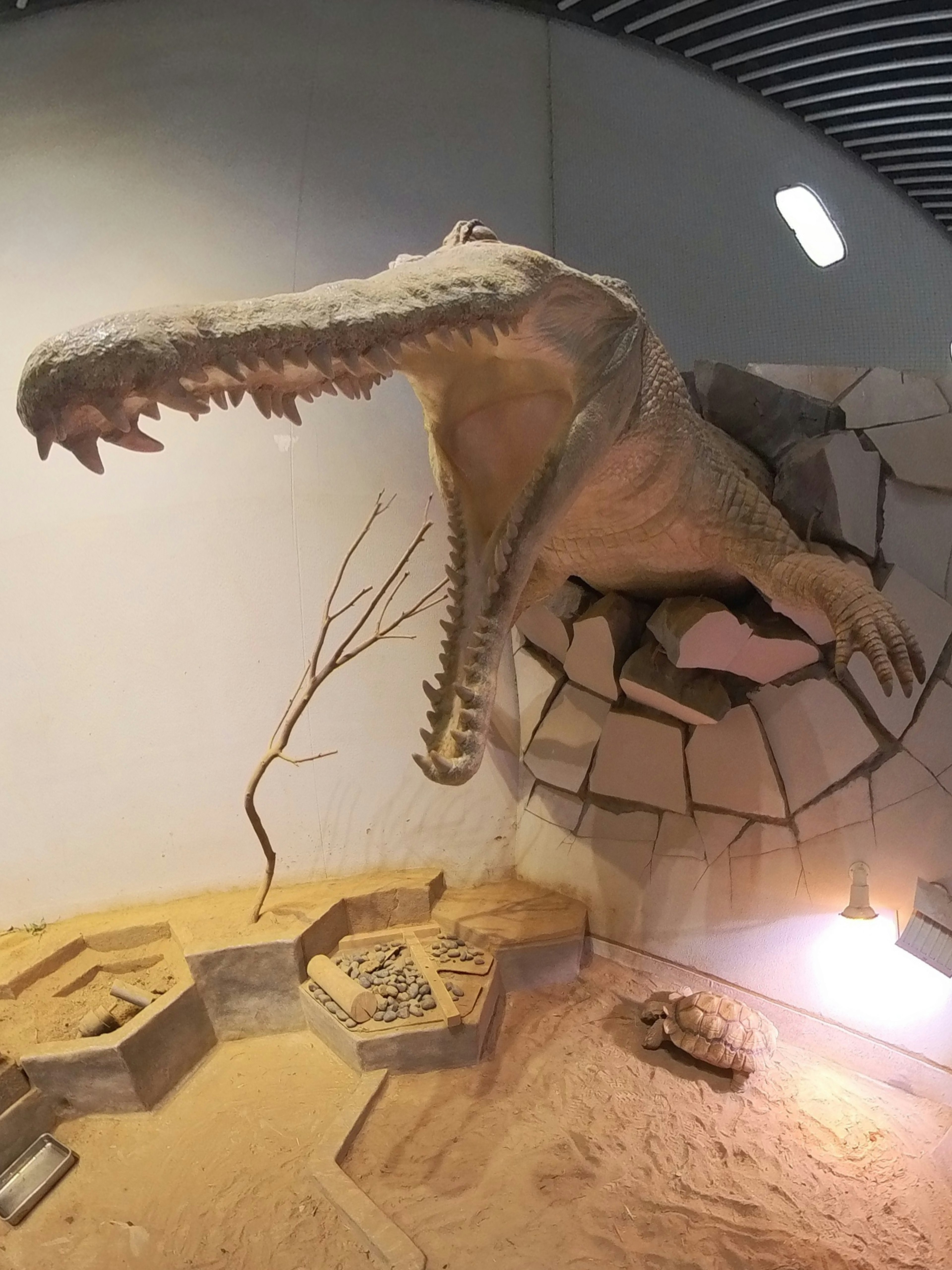 Sculpture d'une tête de dinosaure géante émergeant du mur avec un paysage désertique et des ruines en dessous