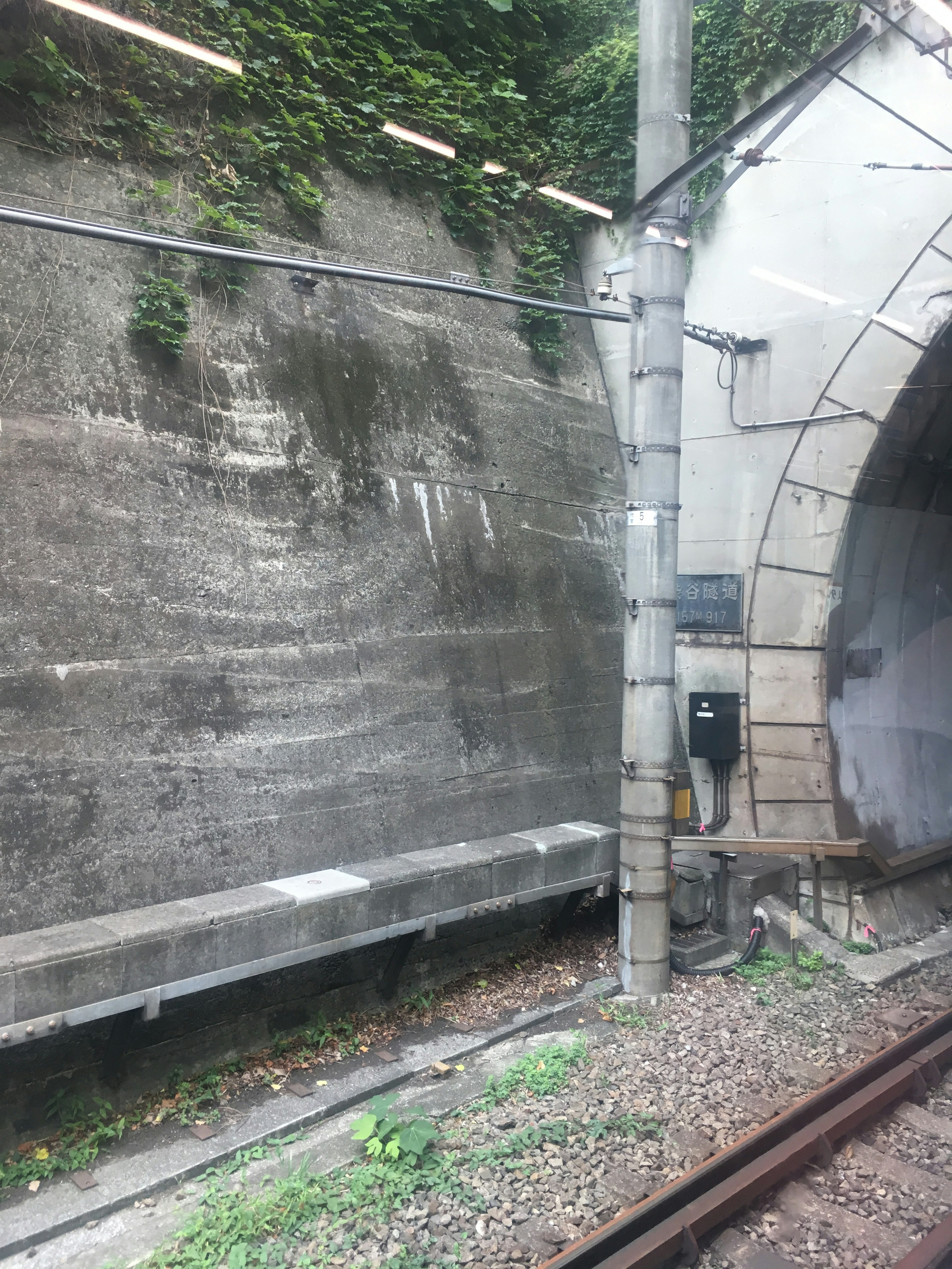 トンネルの入り口とその周囲の壁が見える鉄道の風景