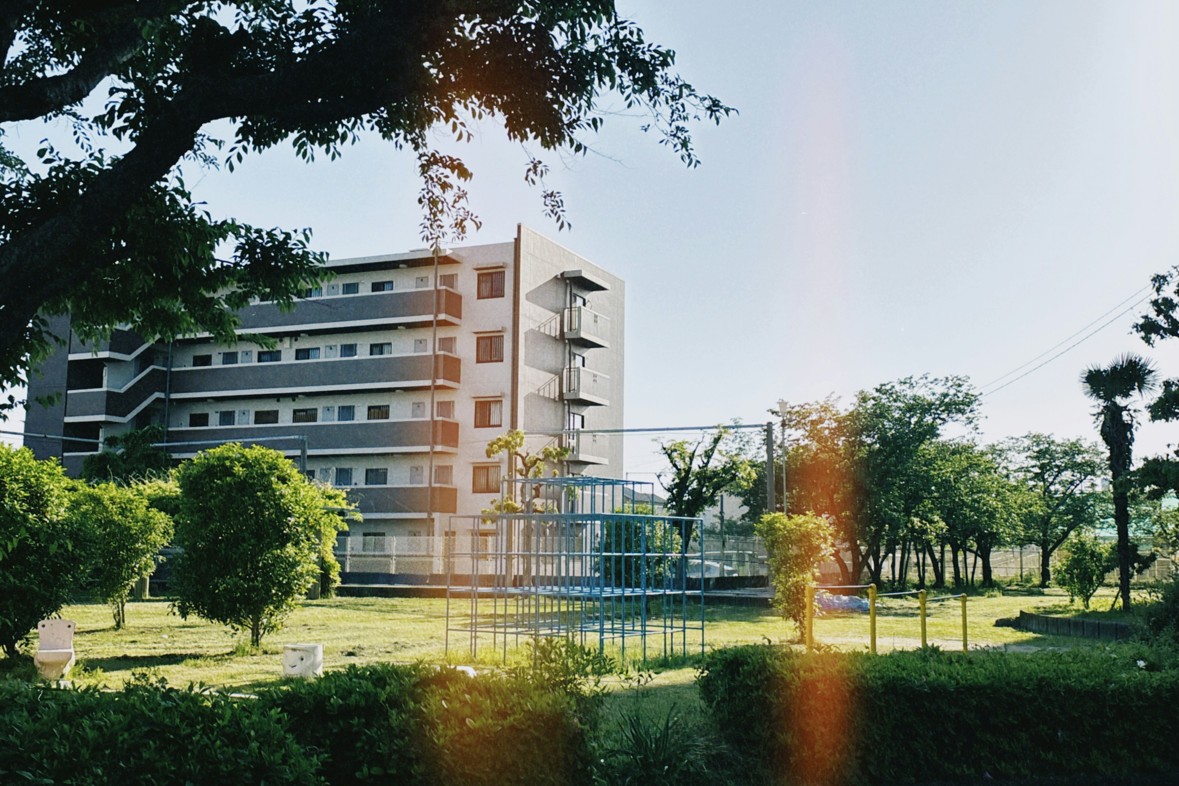 Edificio moderno rodeado de exuberante vegetación y un cielo azul claro