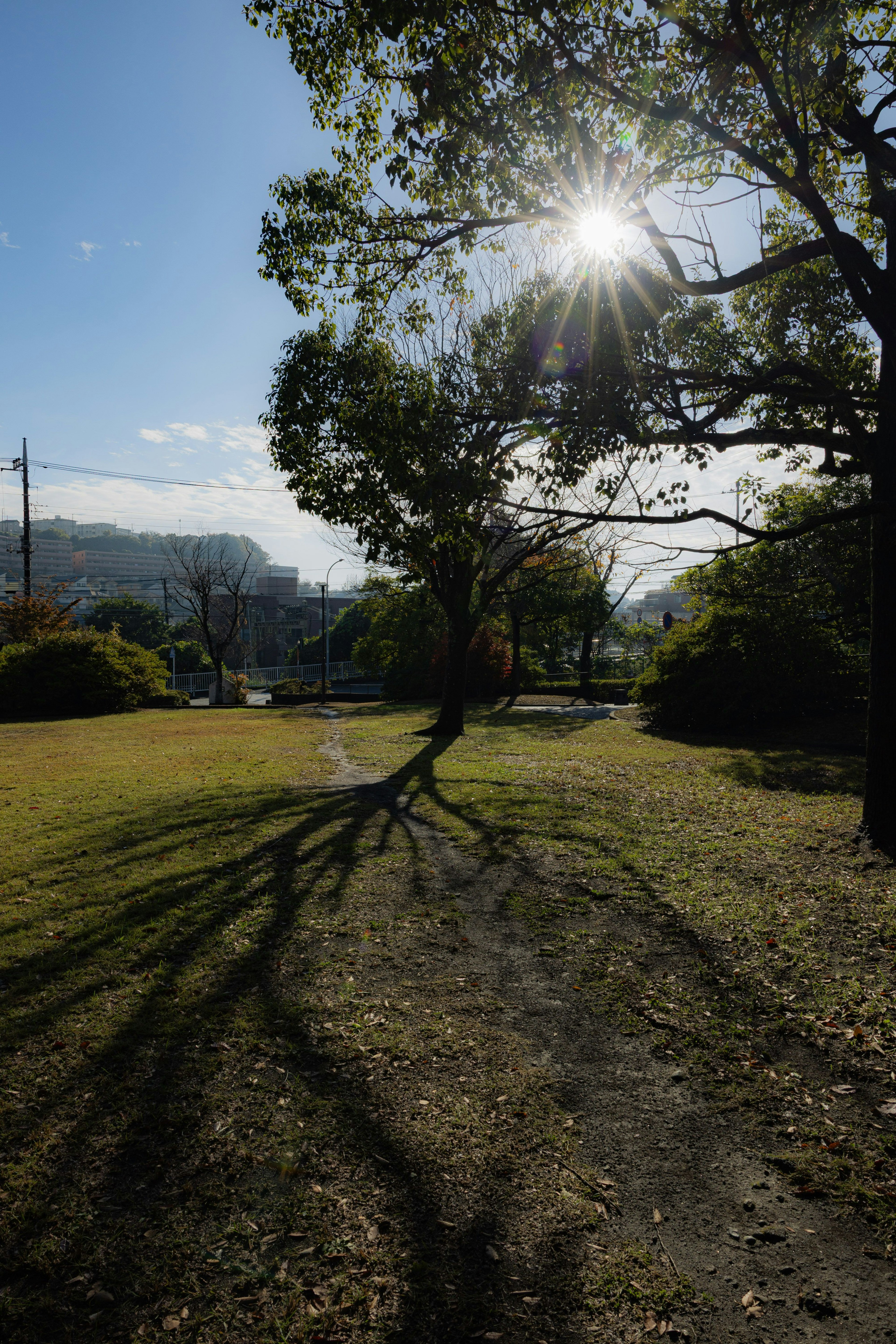 Lange Schatten eines Baumes, die an einem sonnigen Tag über einen Parkweg fallen