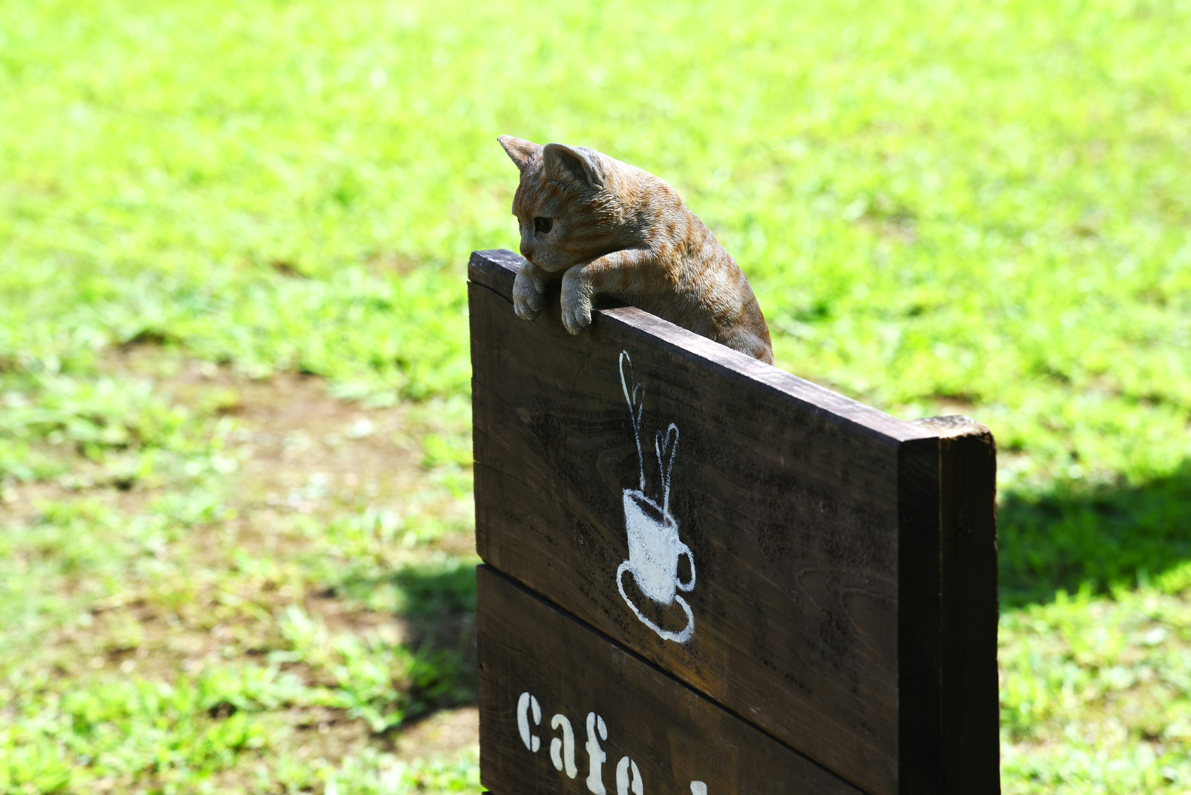 Un gato apoyado en un cartel de café en un entorno verde soleado