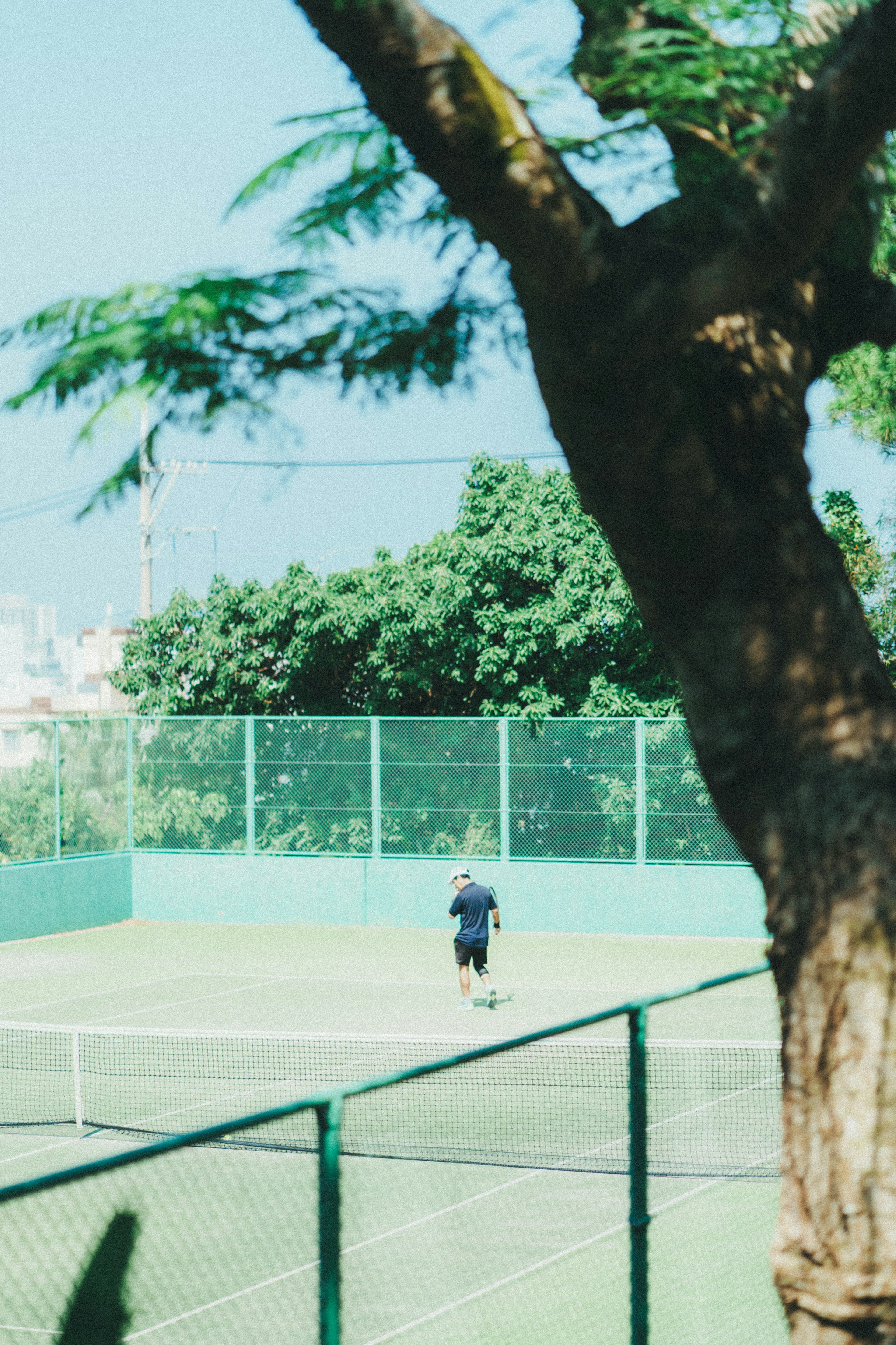 Jugador en una cancha de tenis con cielo azul y árbol cercano