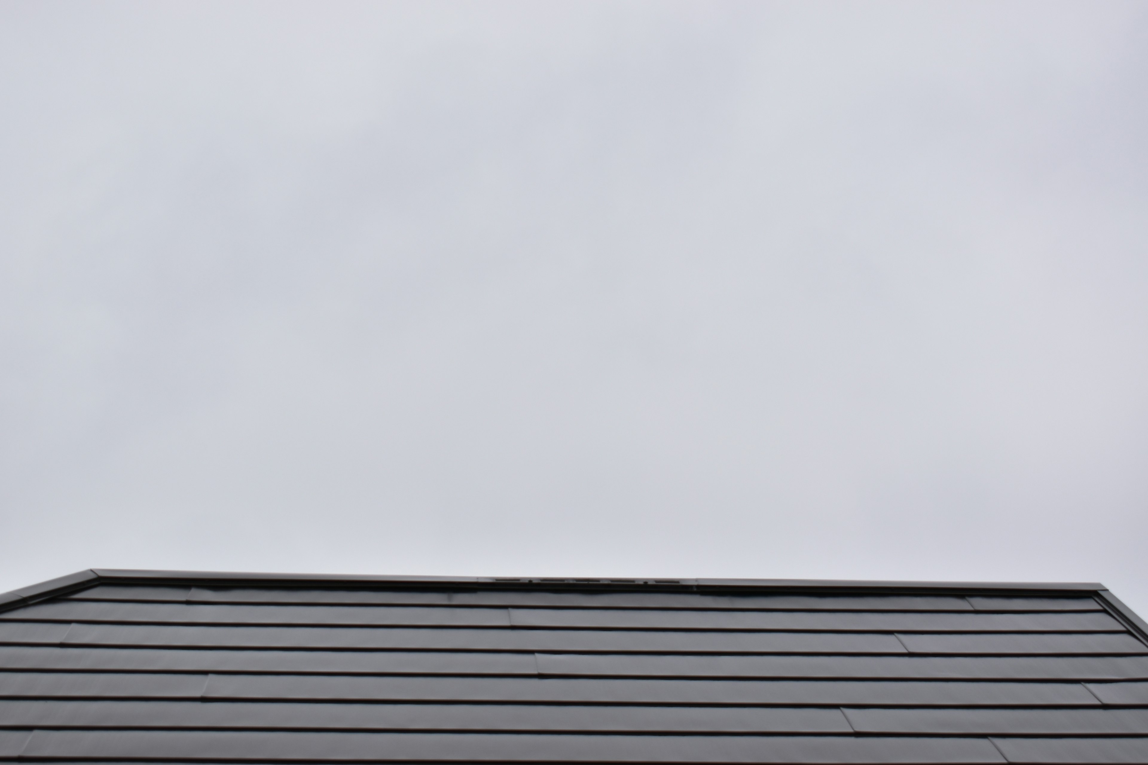 Top of a roof against a gray sky