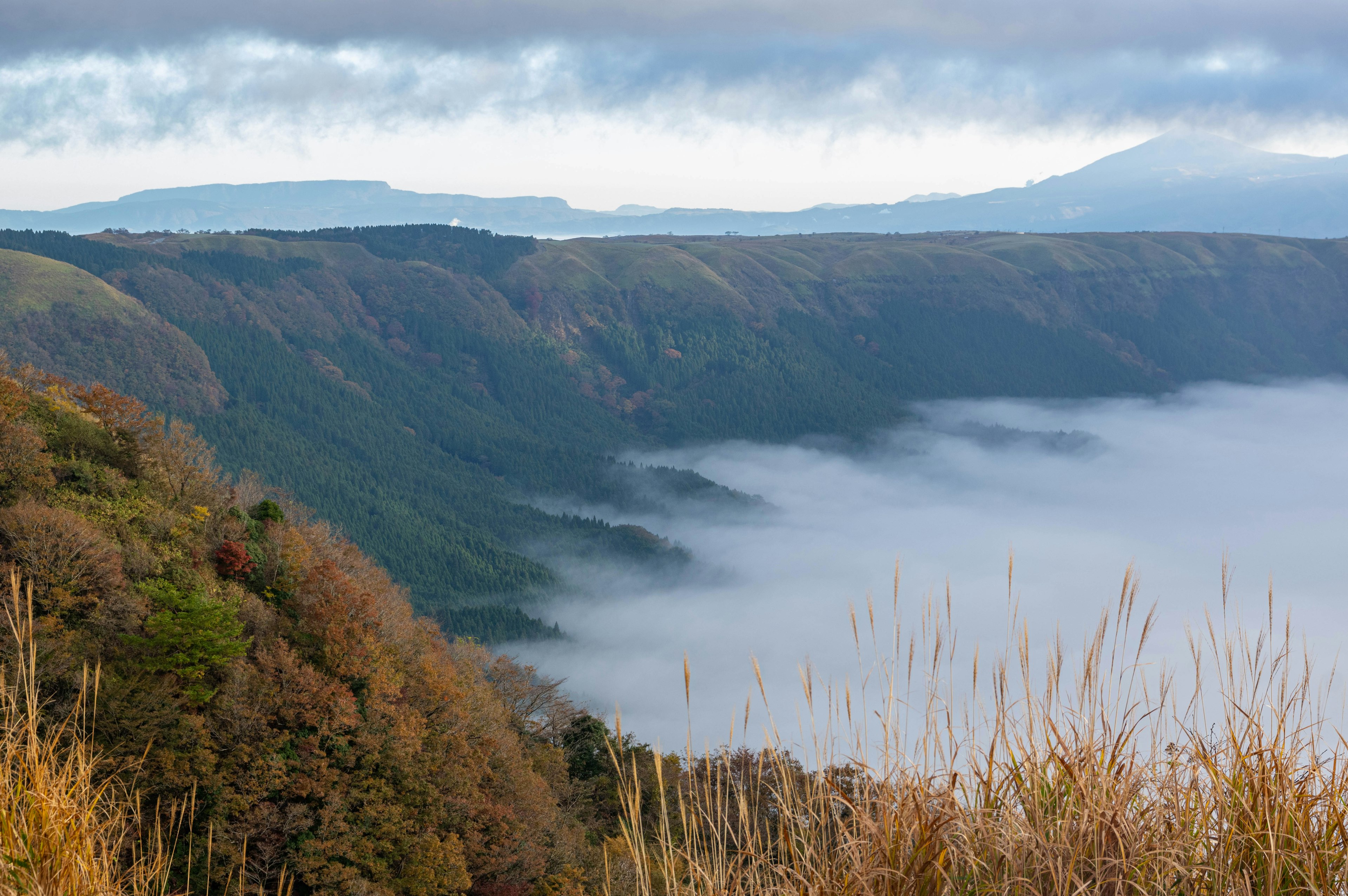 美しい山々と霧に覆われた谷の景色