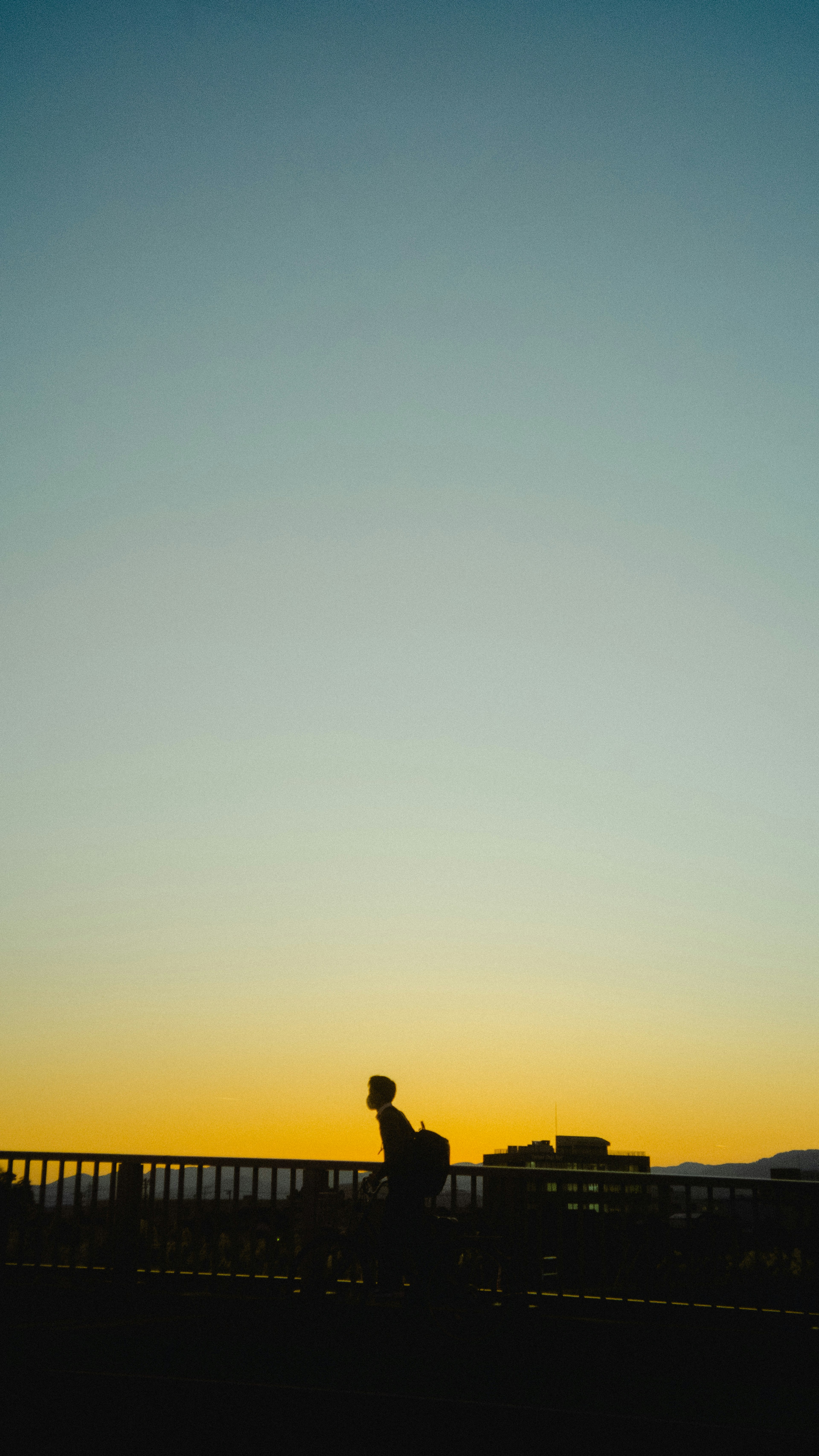 Silhouette di una persona che pedala al tramonto