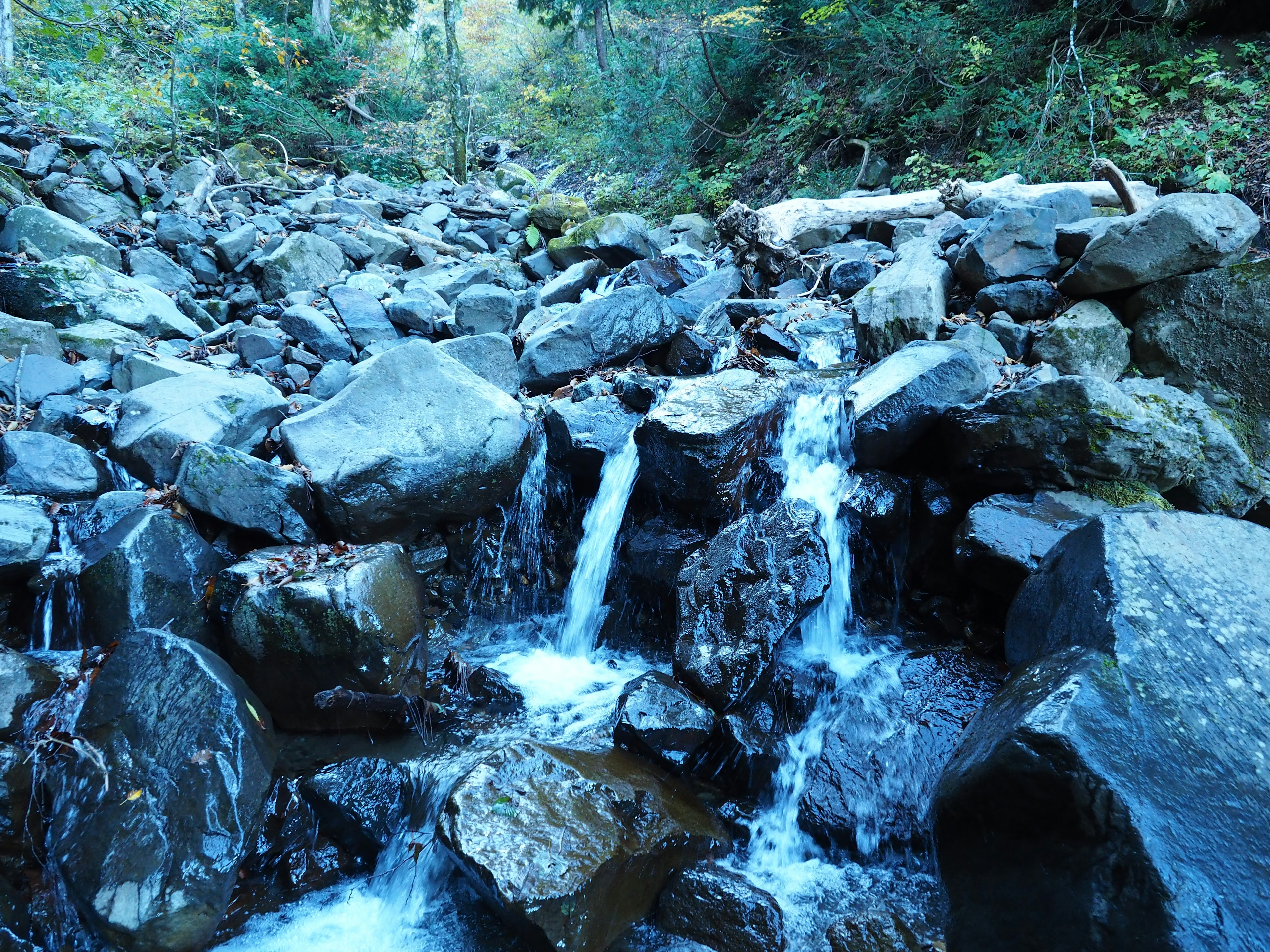 Pemandangan indah aliran sungai di atas batu di hutan