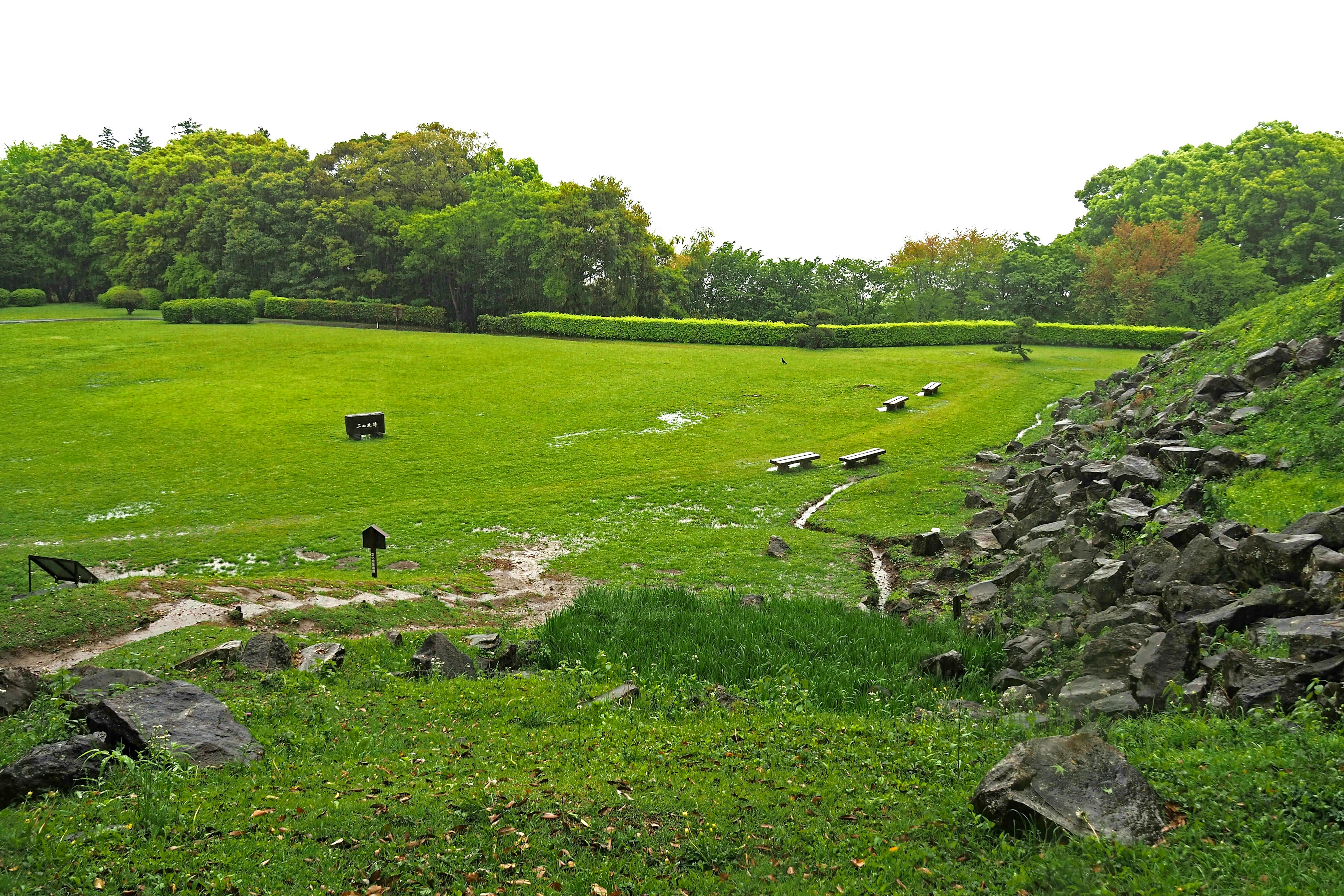 A green meadow with grazing cows and a stone wall