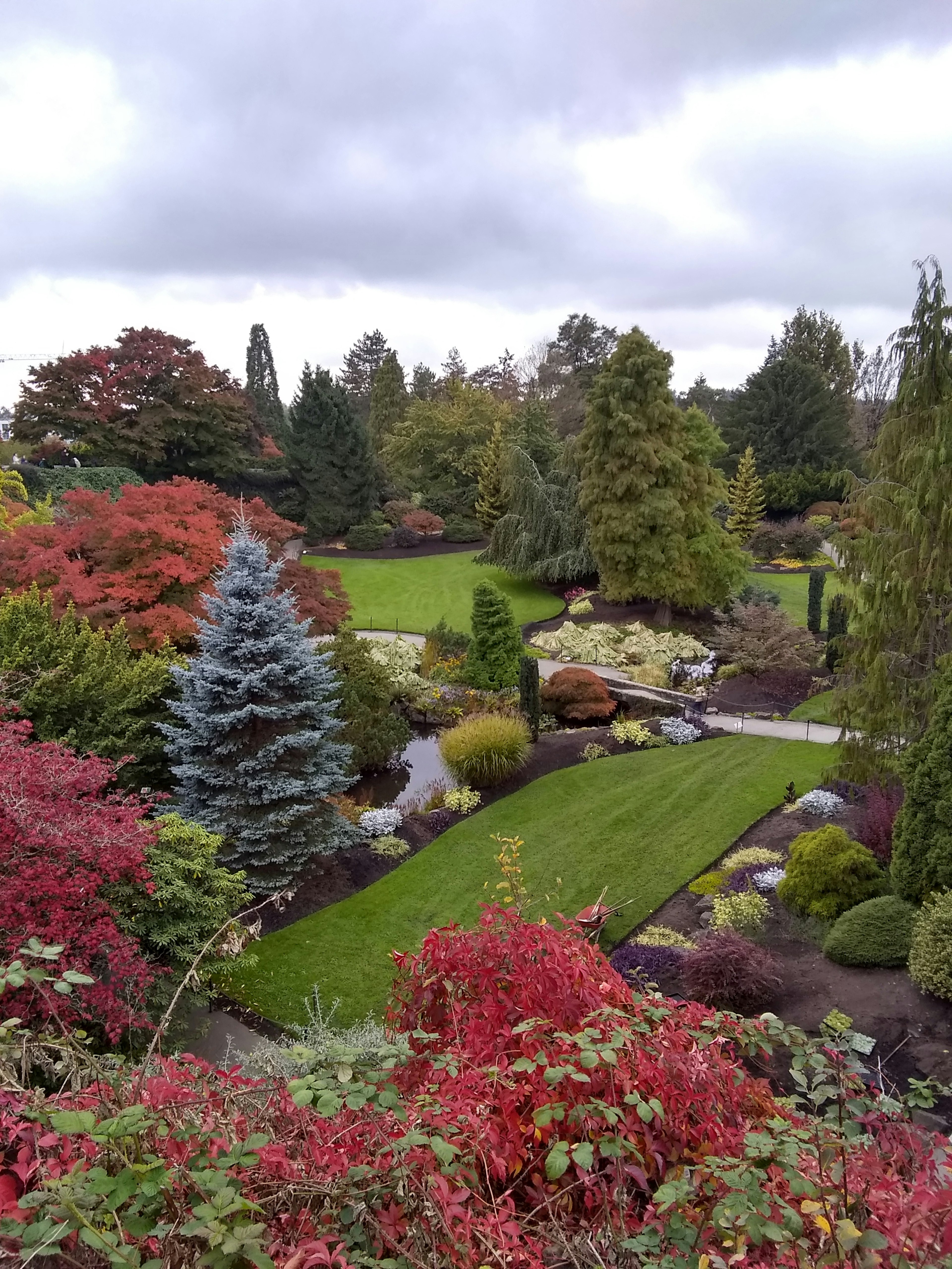 Una hermosa vista del jardín con plantas coloridas y césped verde