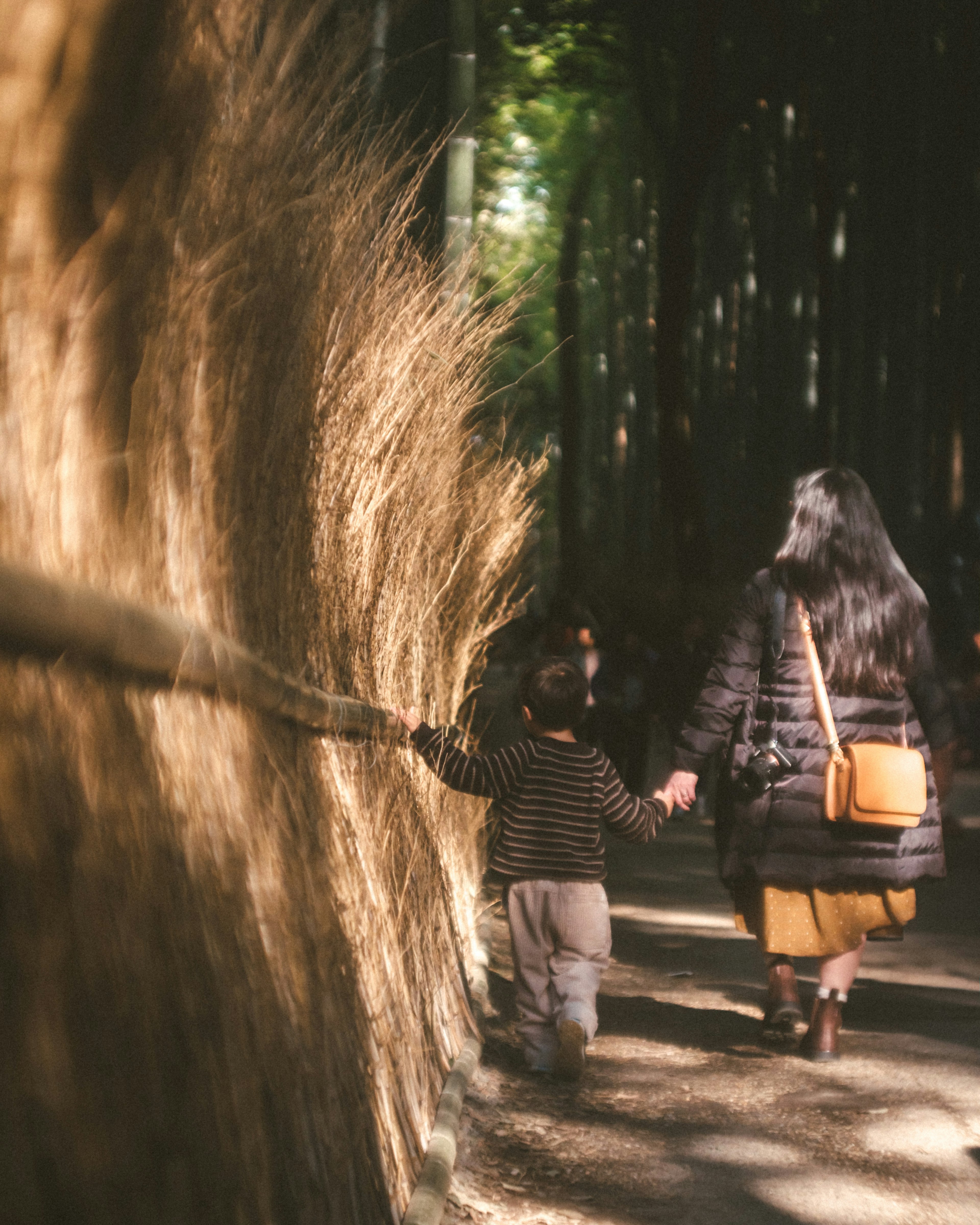 A child holding hands with a parent walking through a forest path