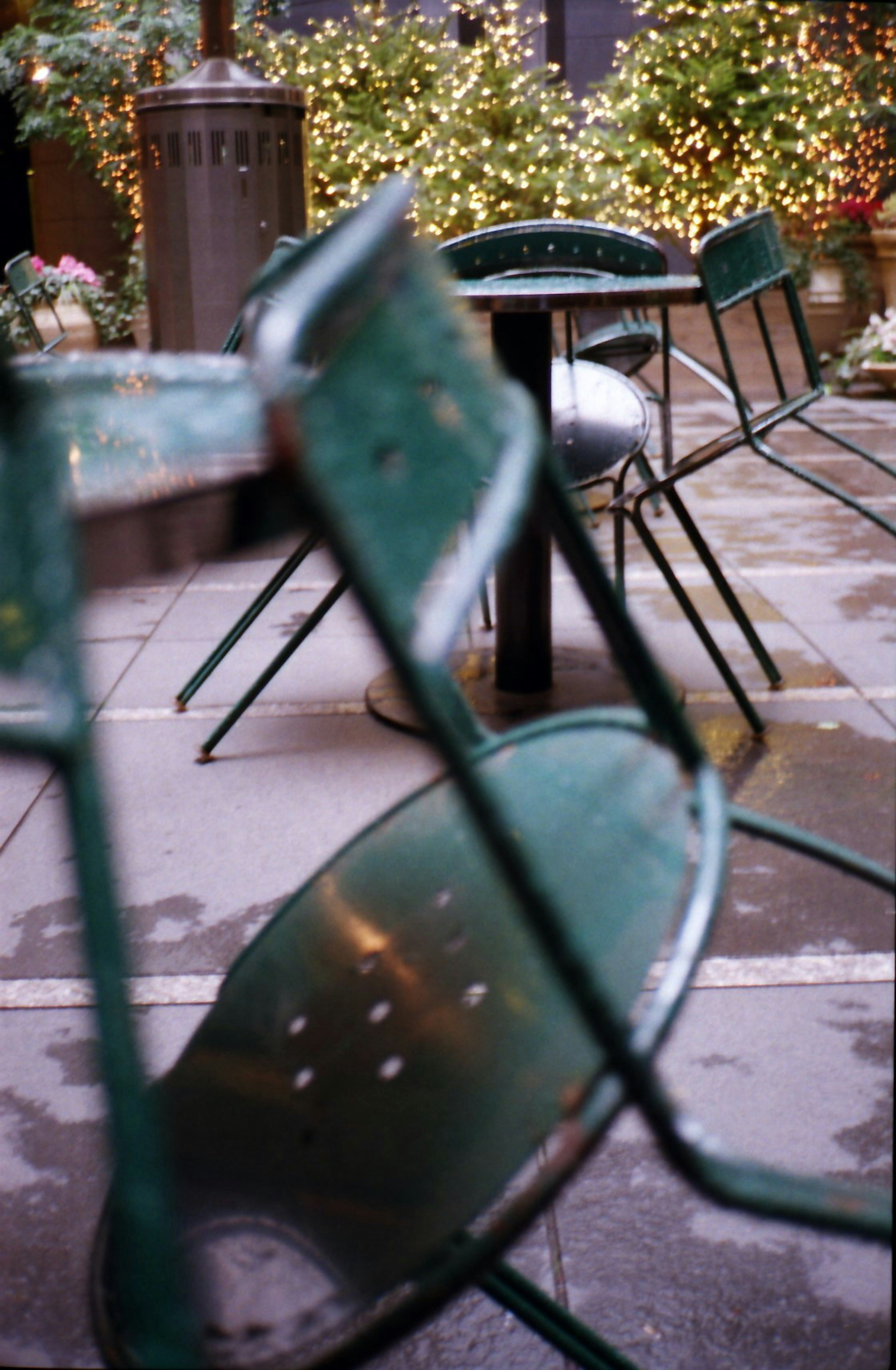 Escena de café al aire libre con sillas verdes y una mesa, plantas borrosas y luces de fondo