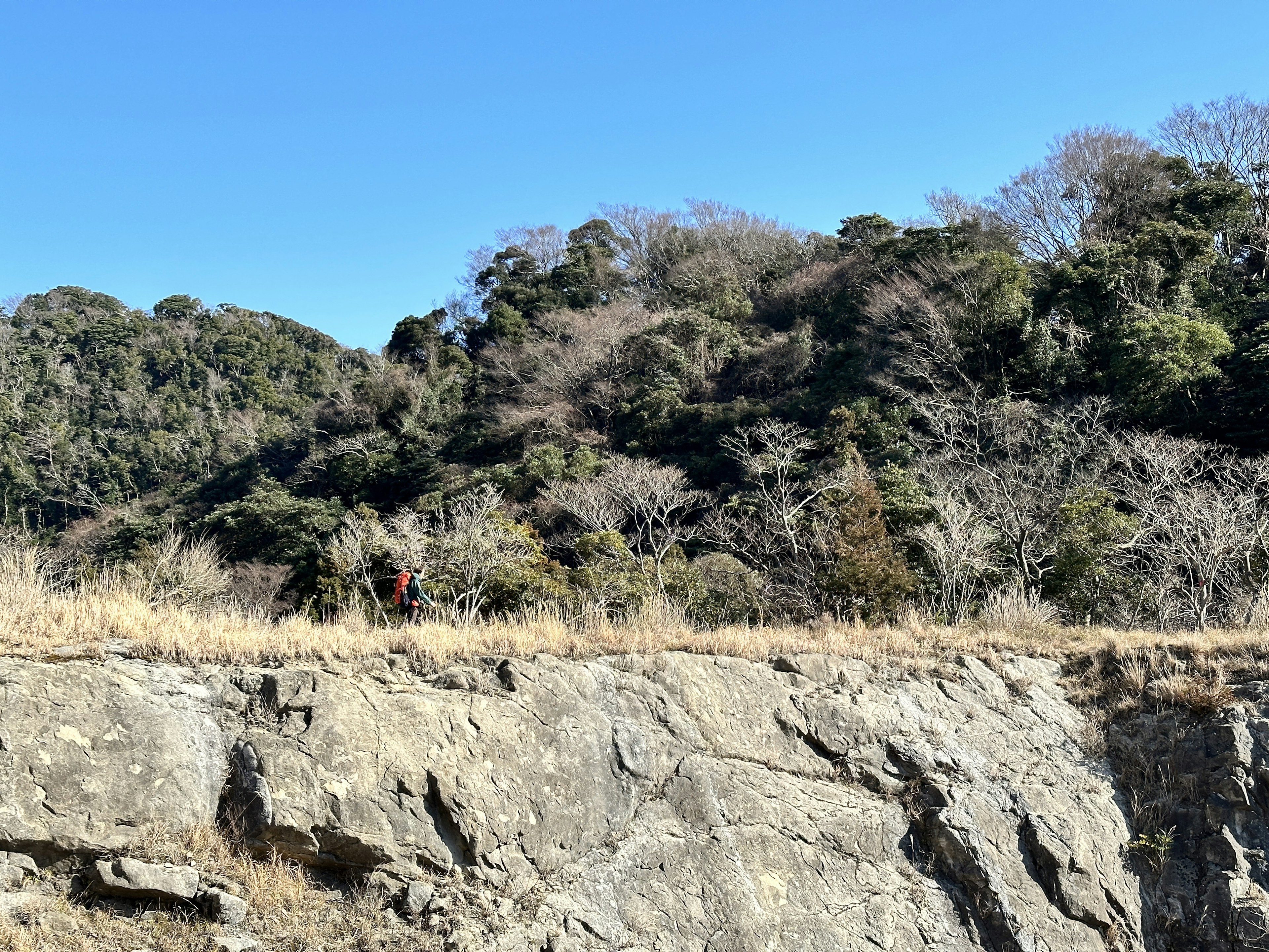 Rocky cliff with sparse trees under a clear blue sky