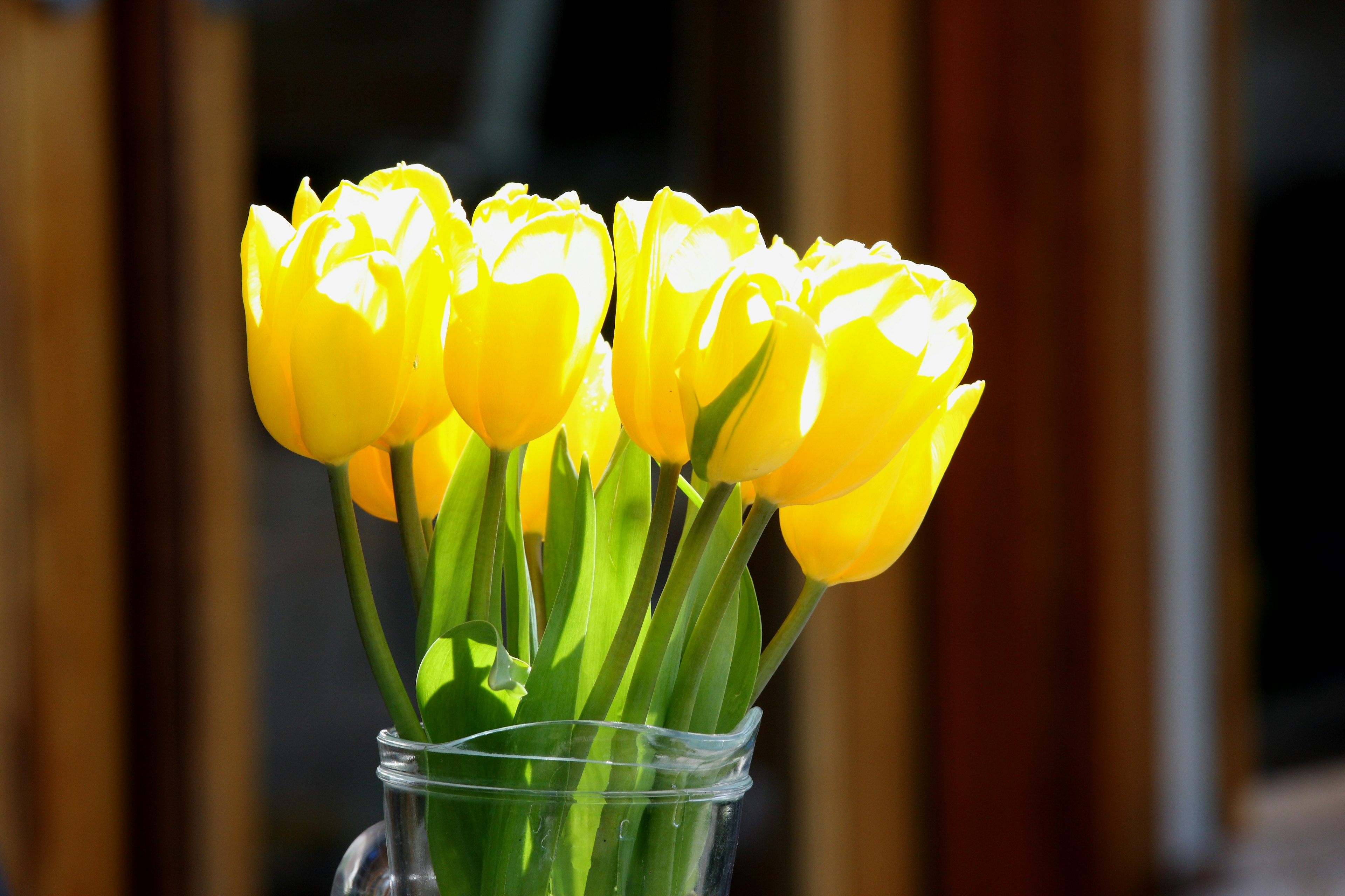 Un ramo de tulipanes amarillos en un jarrón transparente