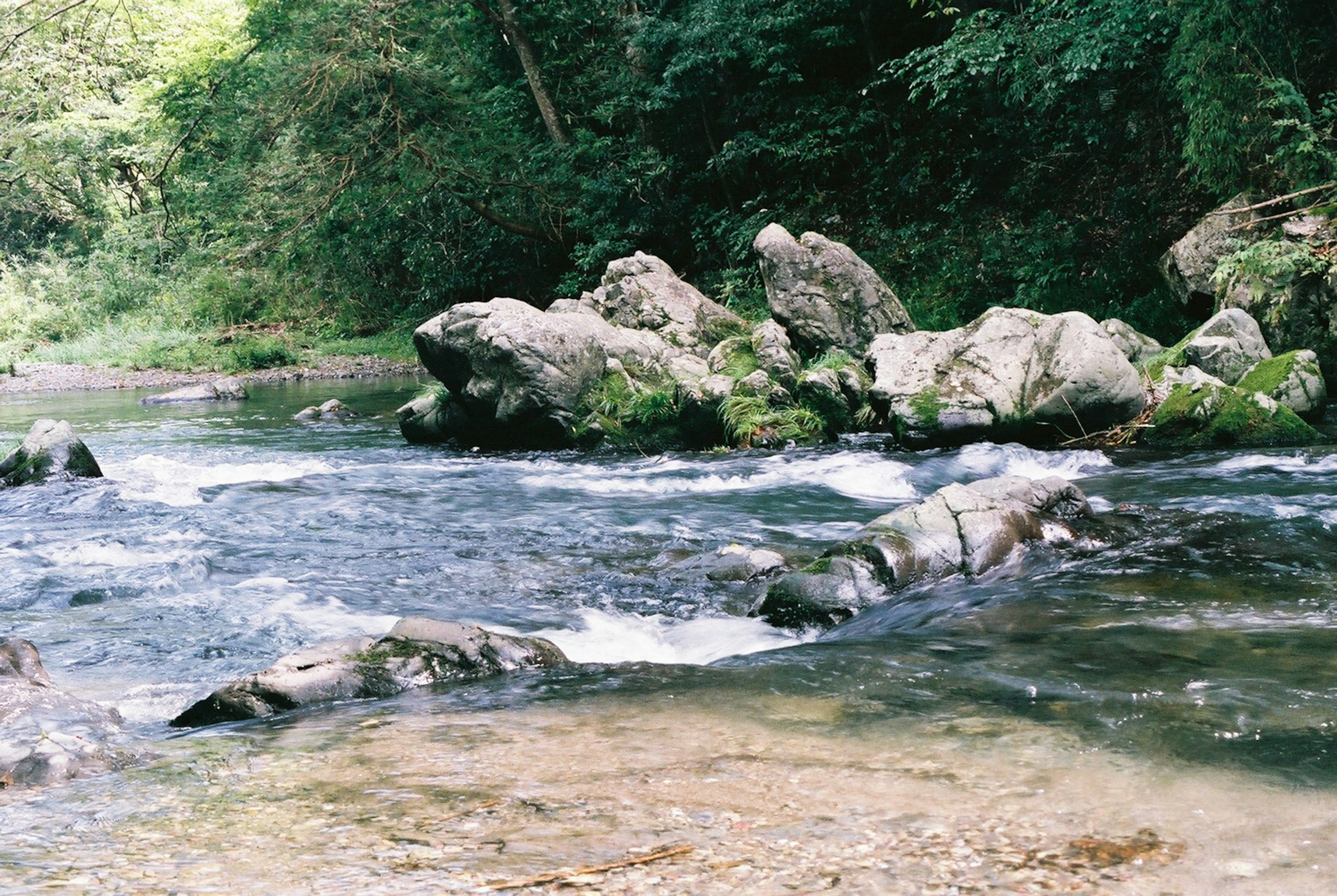 Ein ruhiger Fluss fließt über Felsen, umgeben von üppigem Grün