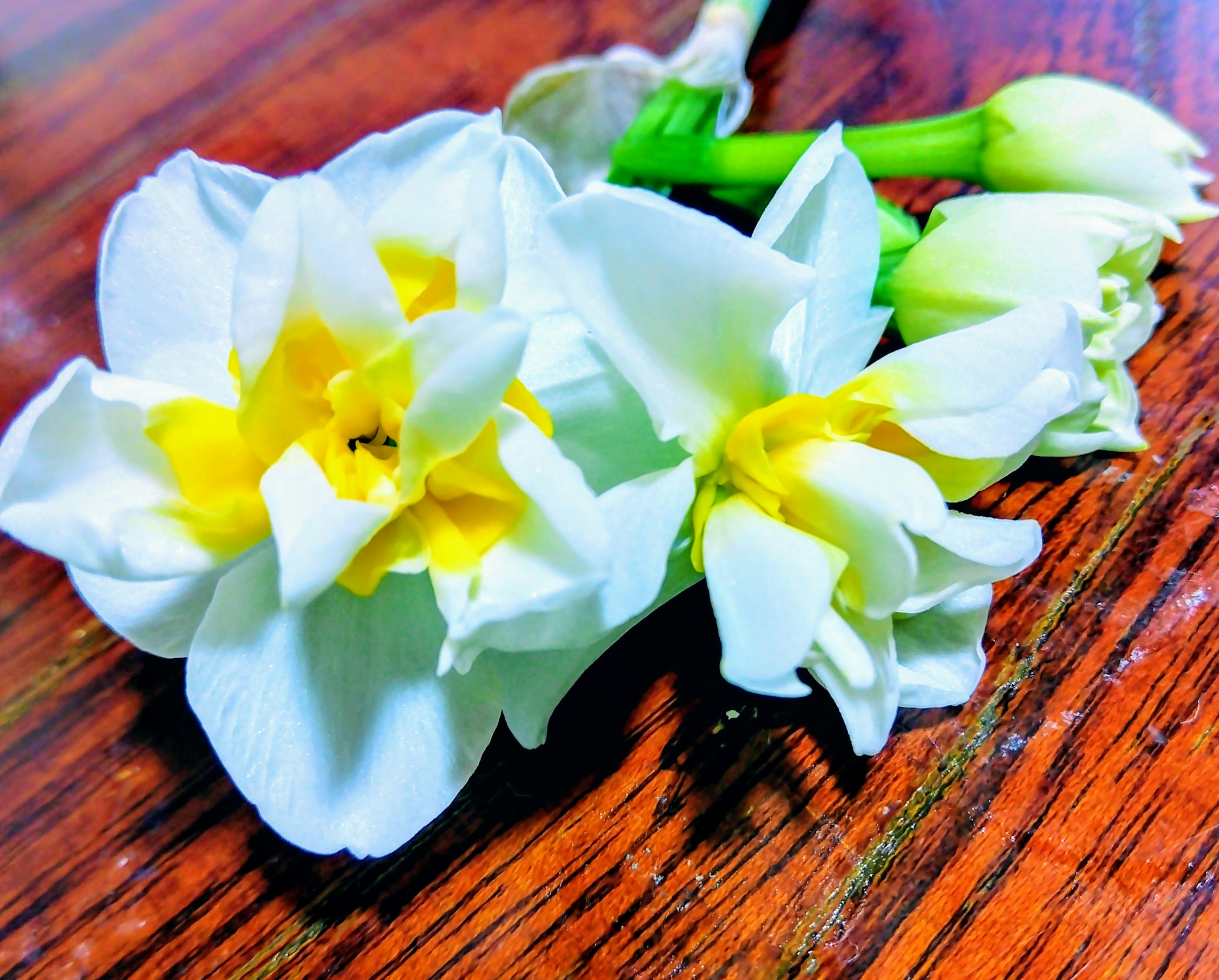 Un bouquet di fiori bianchi con centri gialli appoggiato su un tavolo di legno