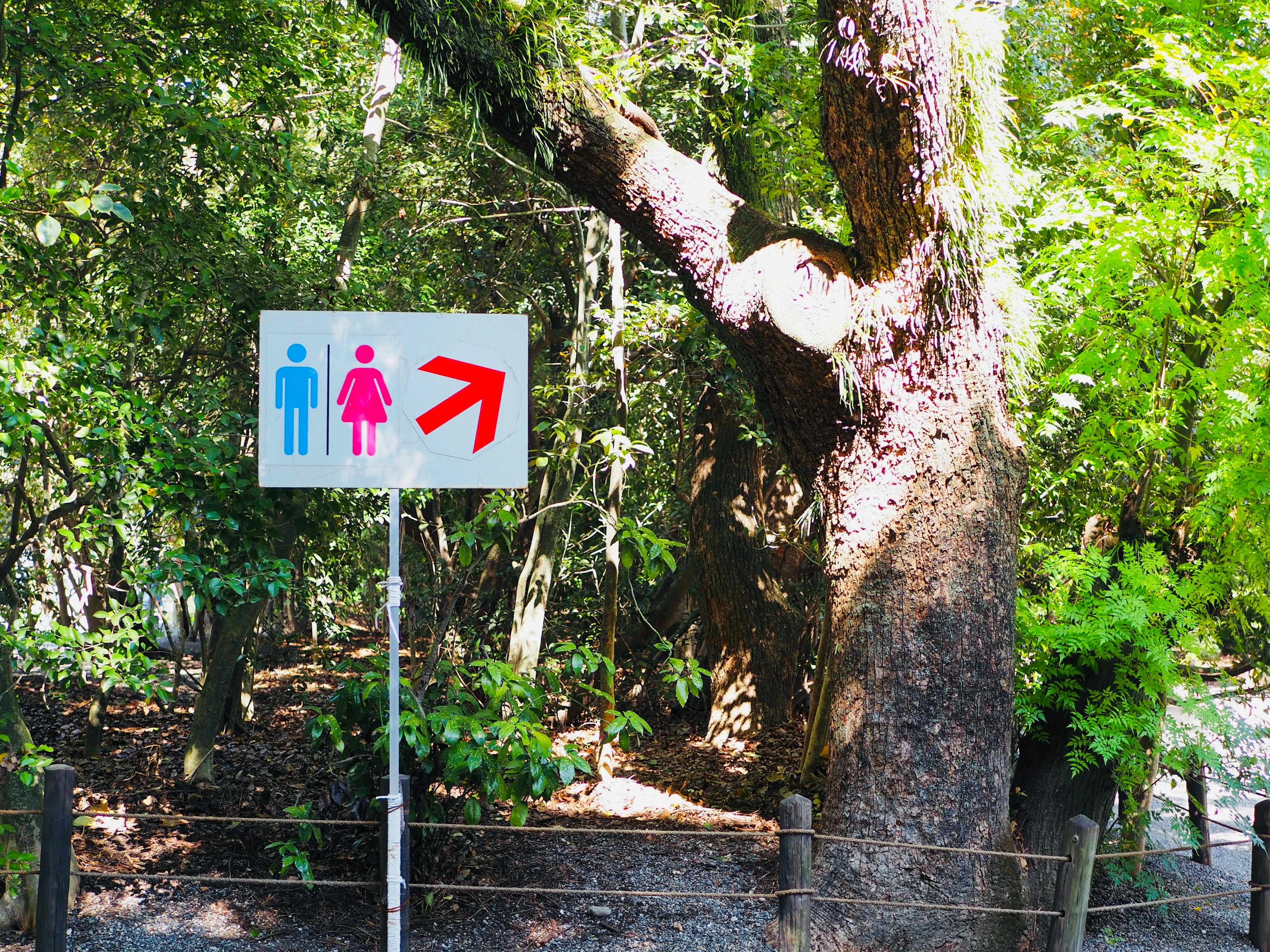 Panneau indiquant les toilettes pour hommes et femmes avec une flèche pointant à droite dans un environnement verdoyant