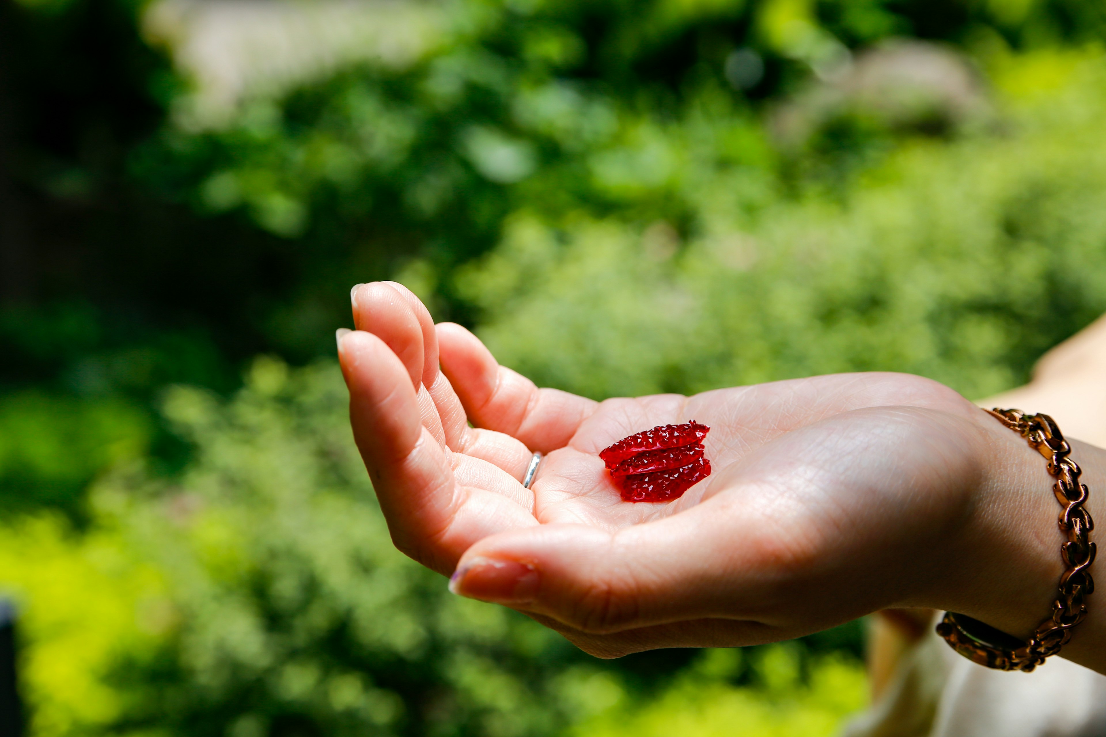 Mano sosteniendo gelatina roja contra un fondo verde