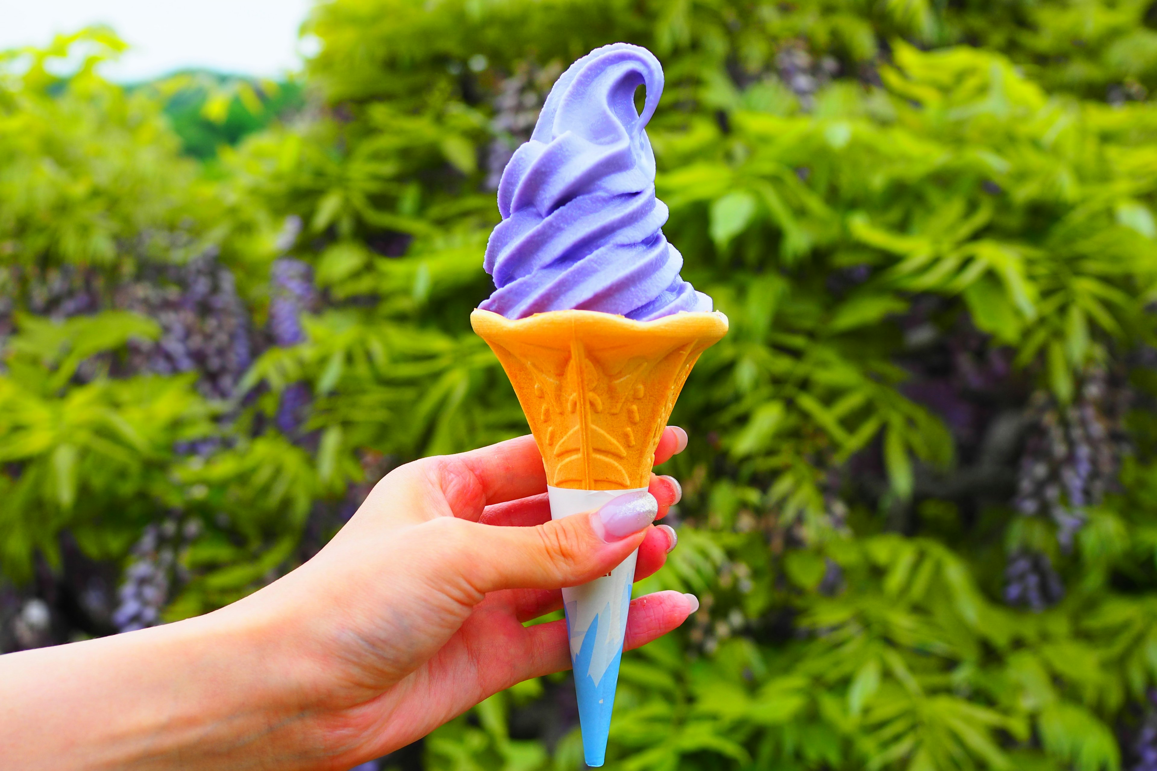 Mano che tiene un cono di gelato morbido viola su uno sfondo verde