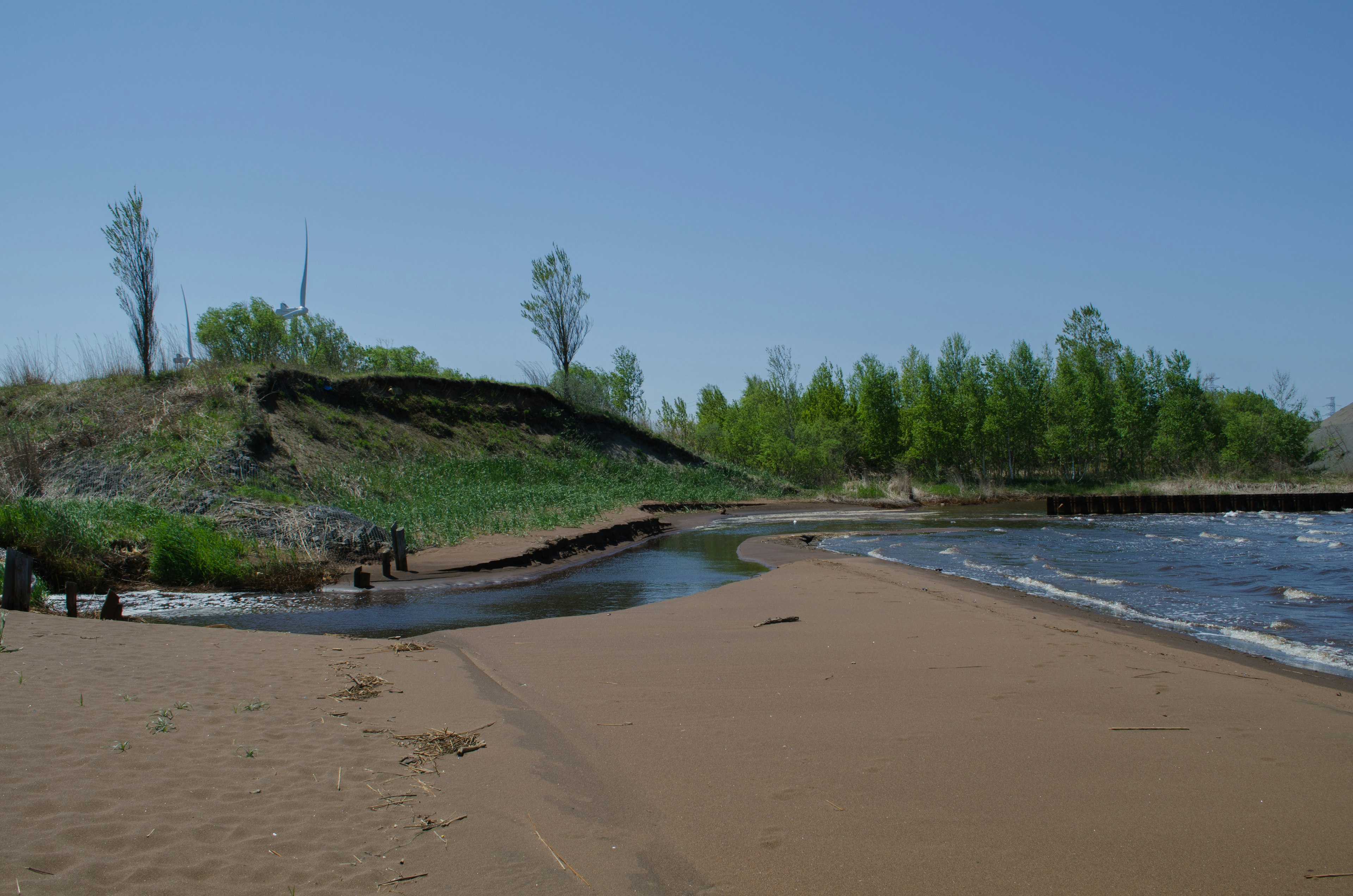 Küstenlandschaft unter blauem Himmel mit Sandstrand und grünen Bäumen