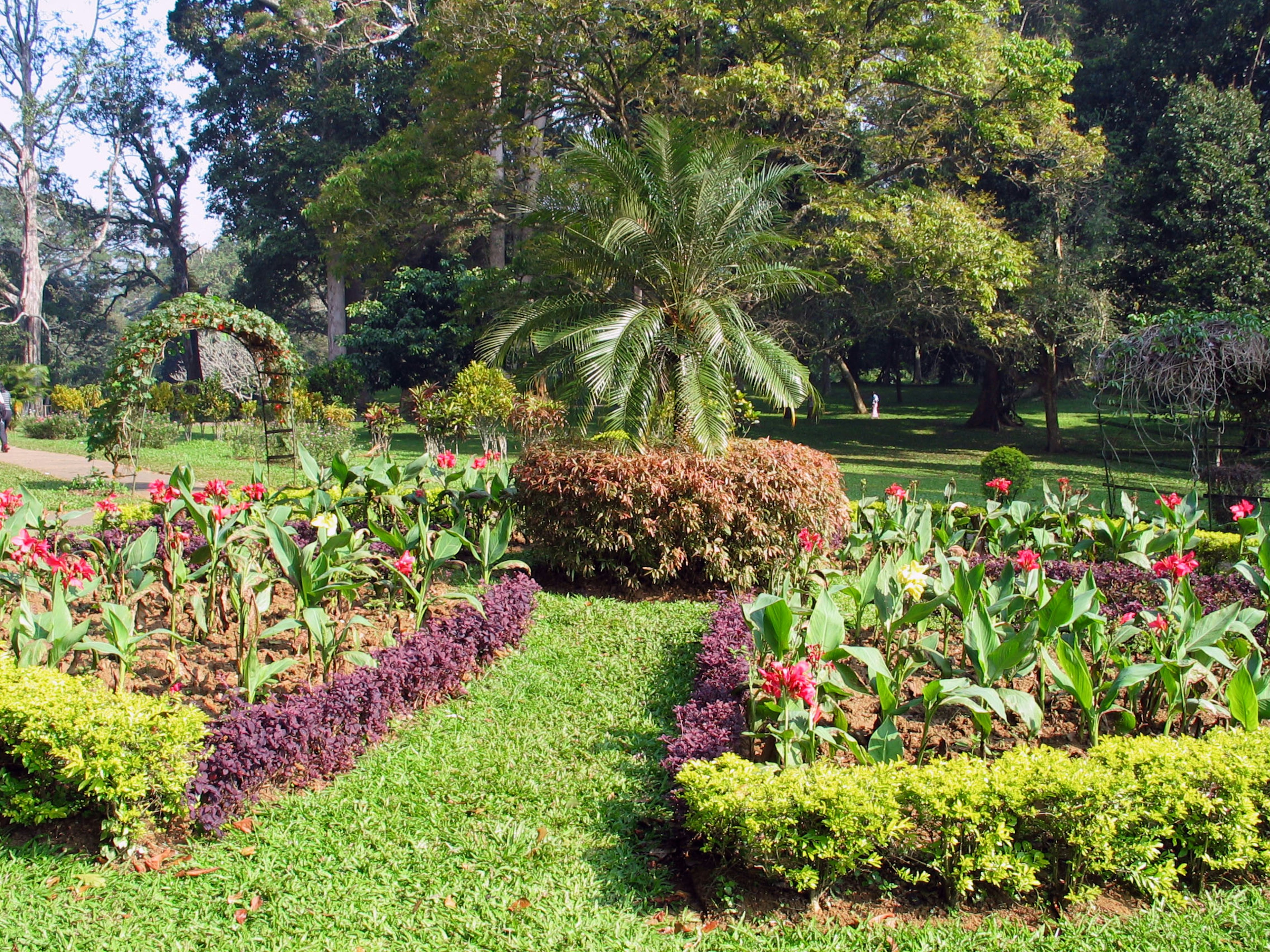 Giardino vibrante con fiori colorati e verde lussureggiante